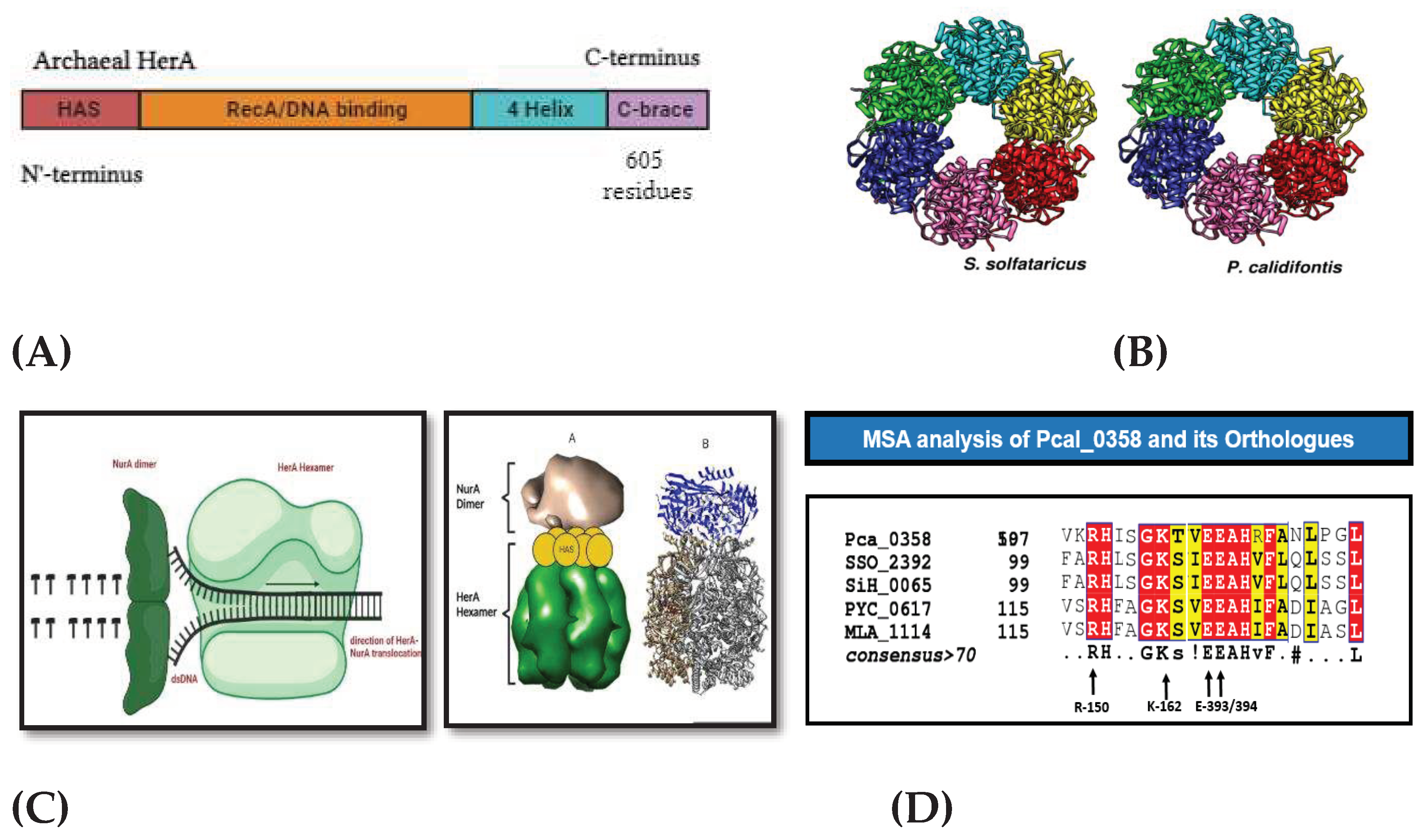 Preprints 97857 g015