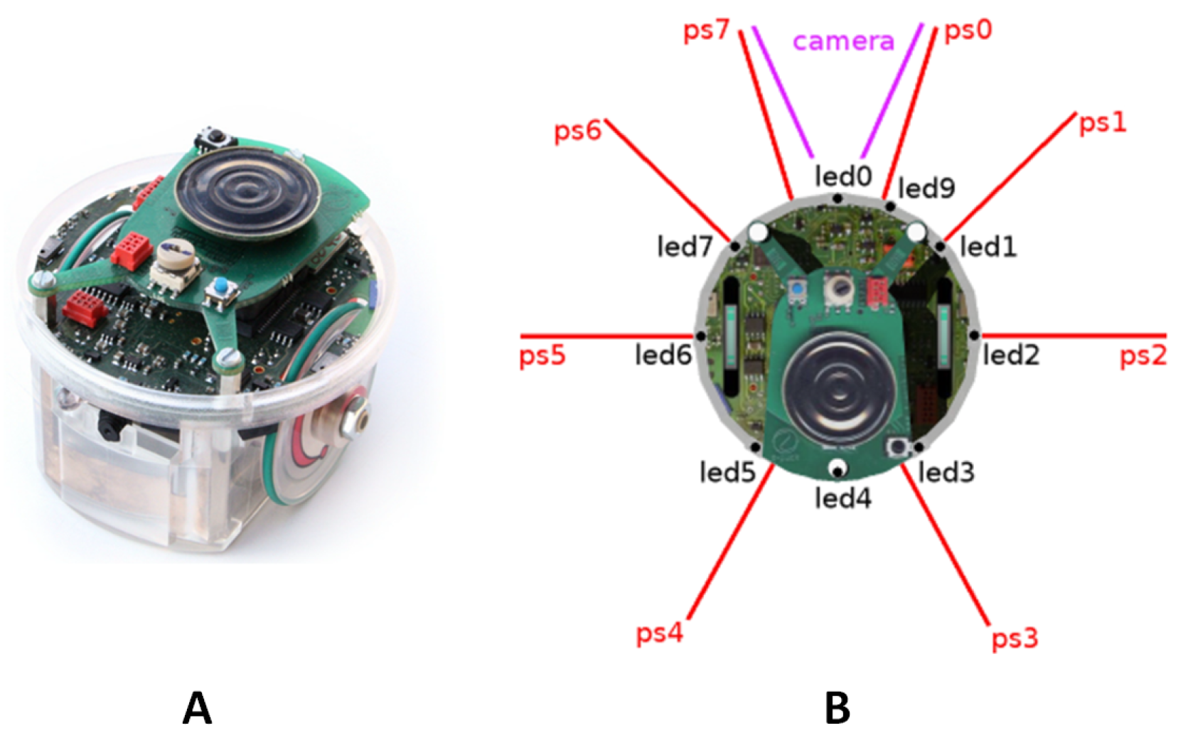 Preprints 116442 g002