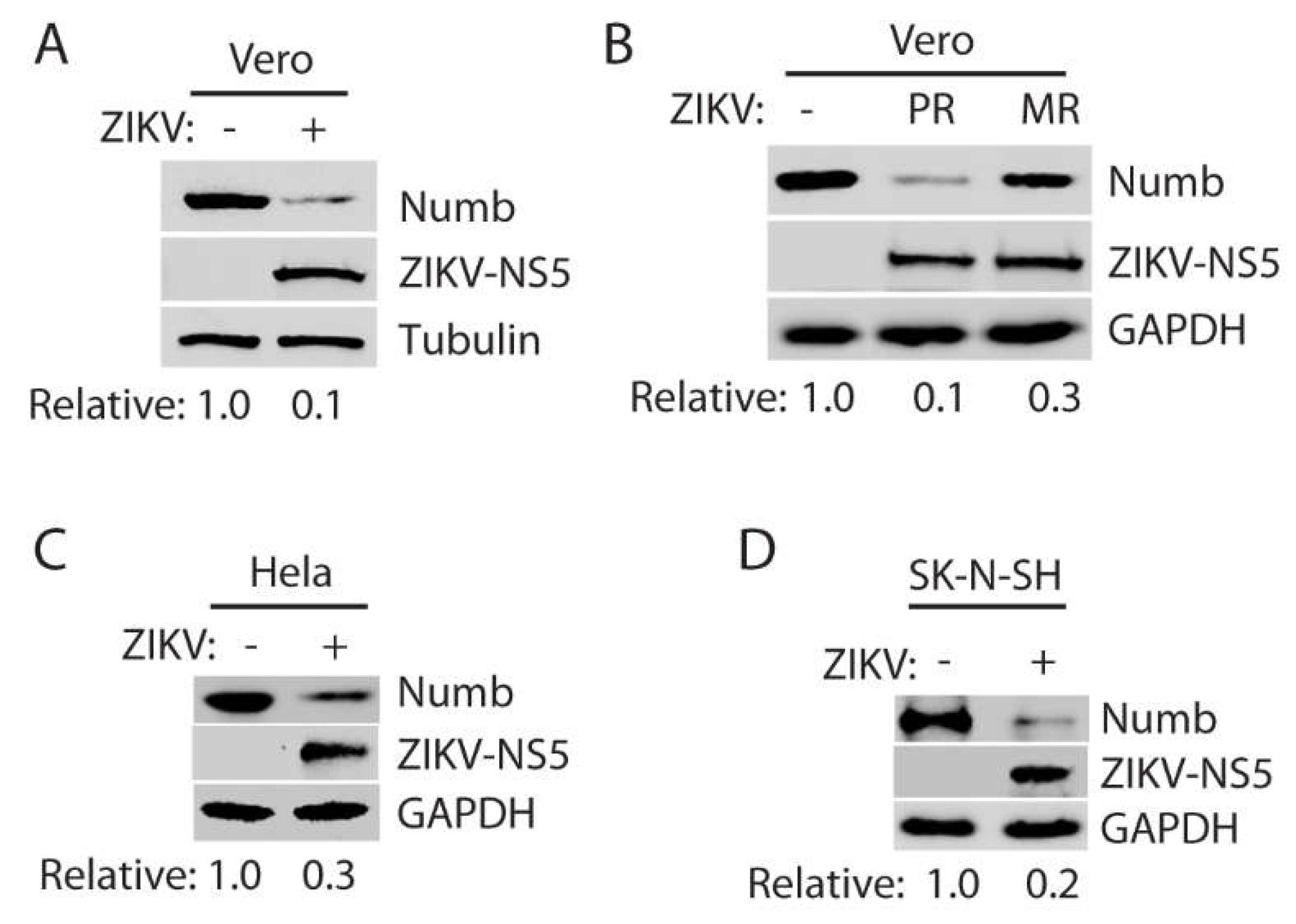 Preprints 71071 g001