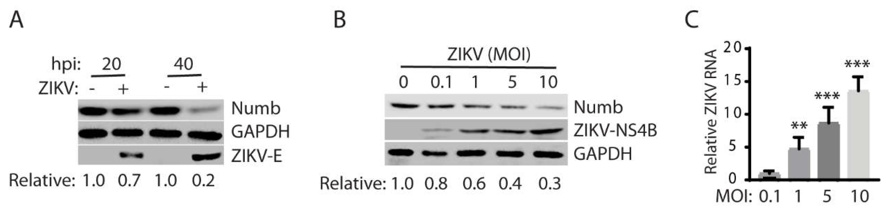 Preprints 71071 g002