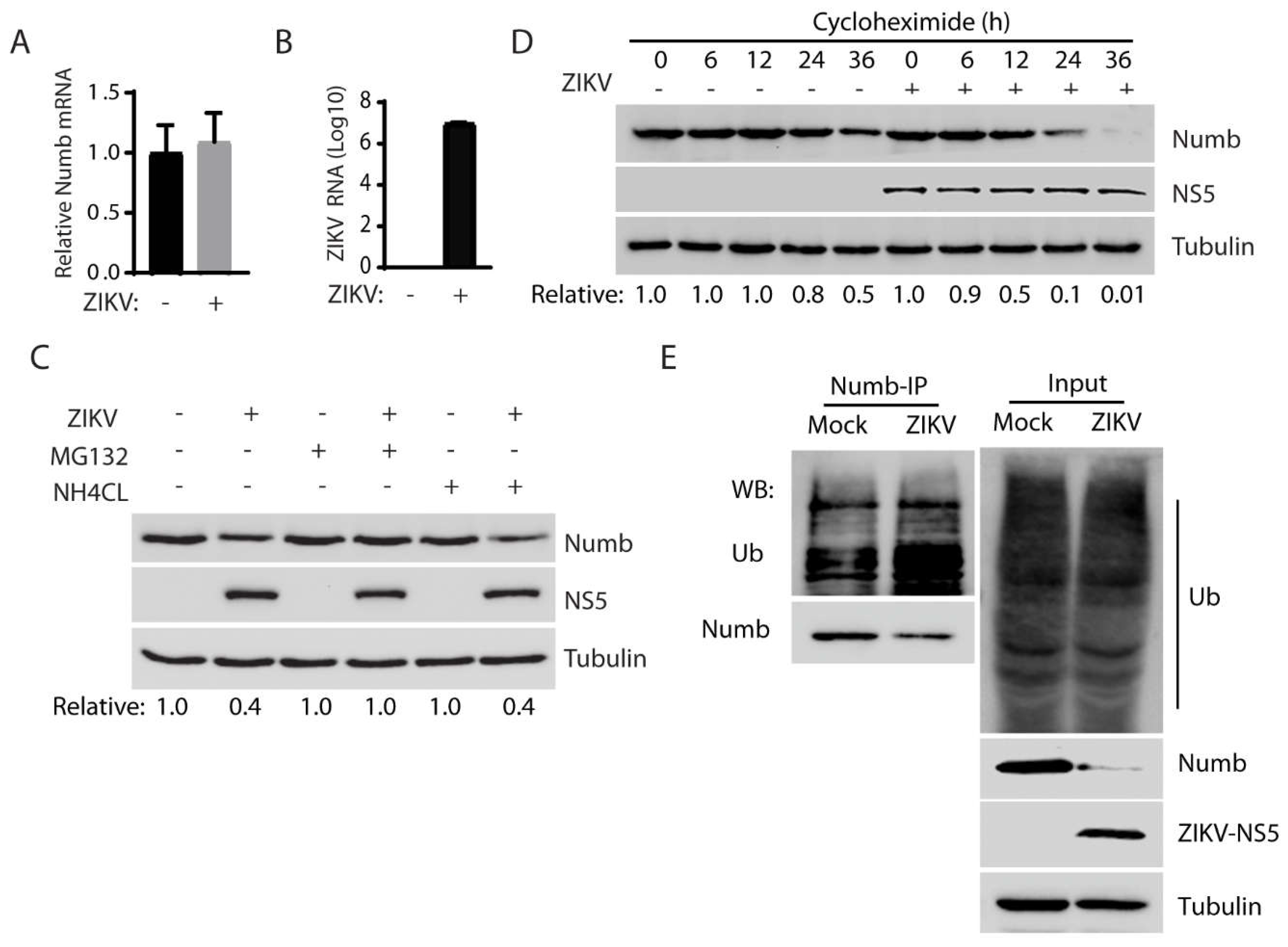 Preprints 71071 g003