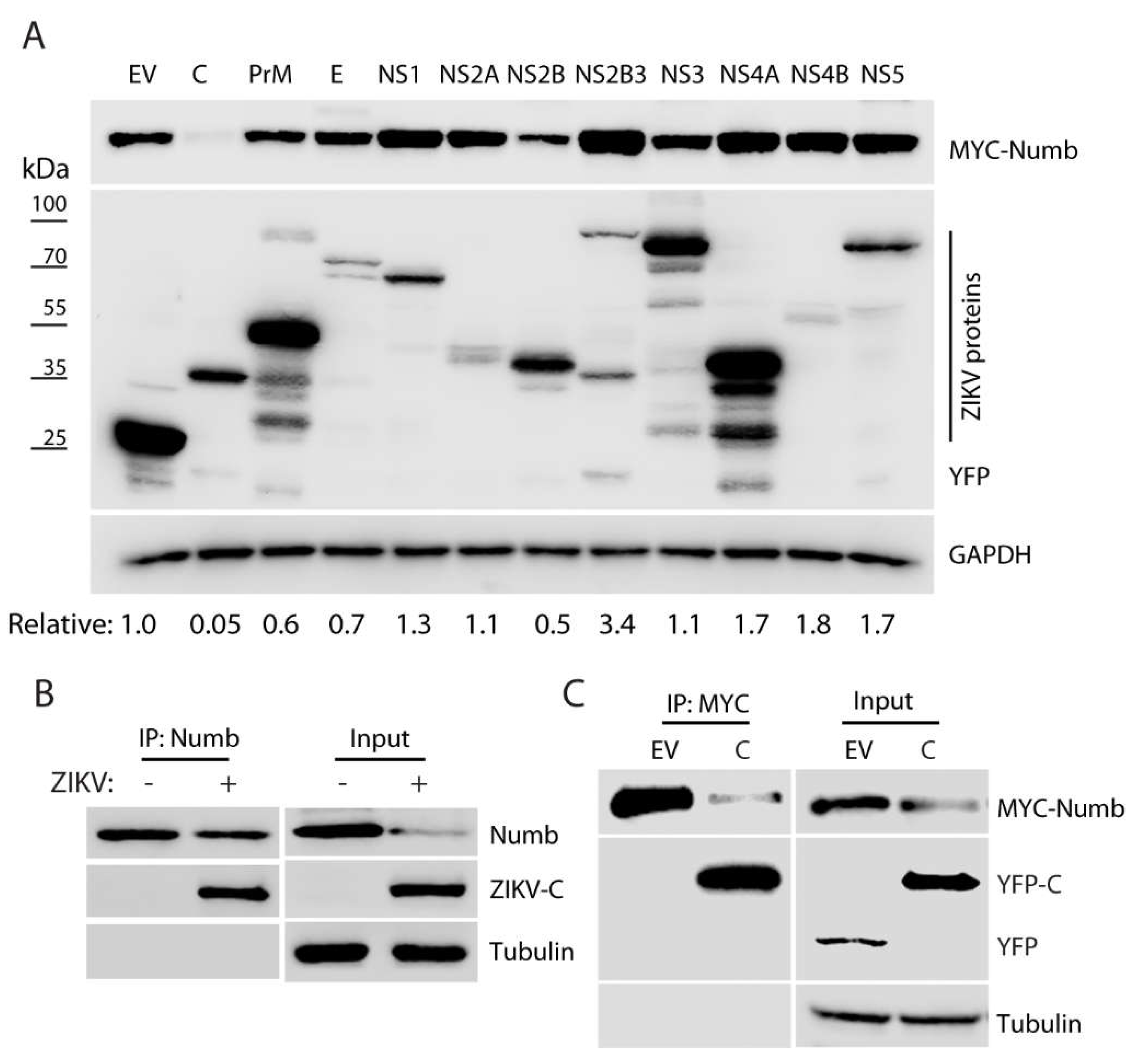 Preprints 71071 g004