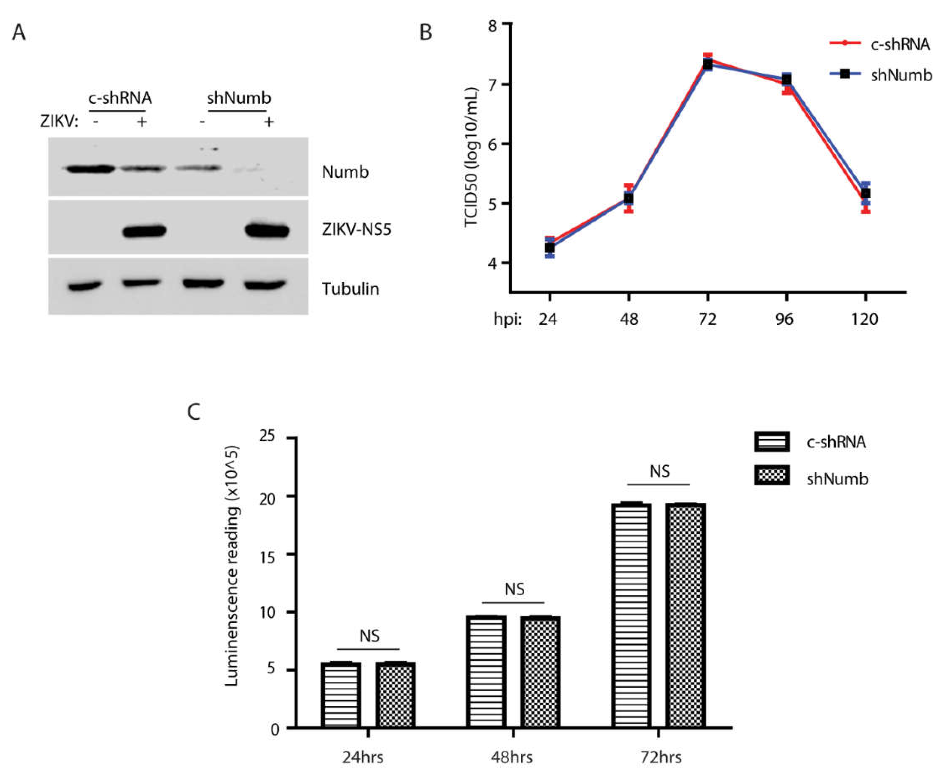 Preprints 71071 g005