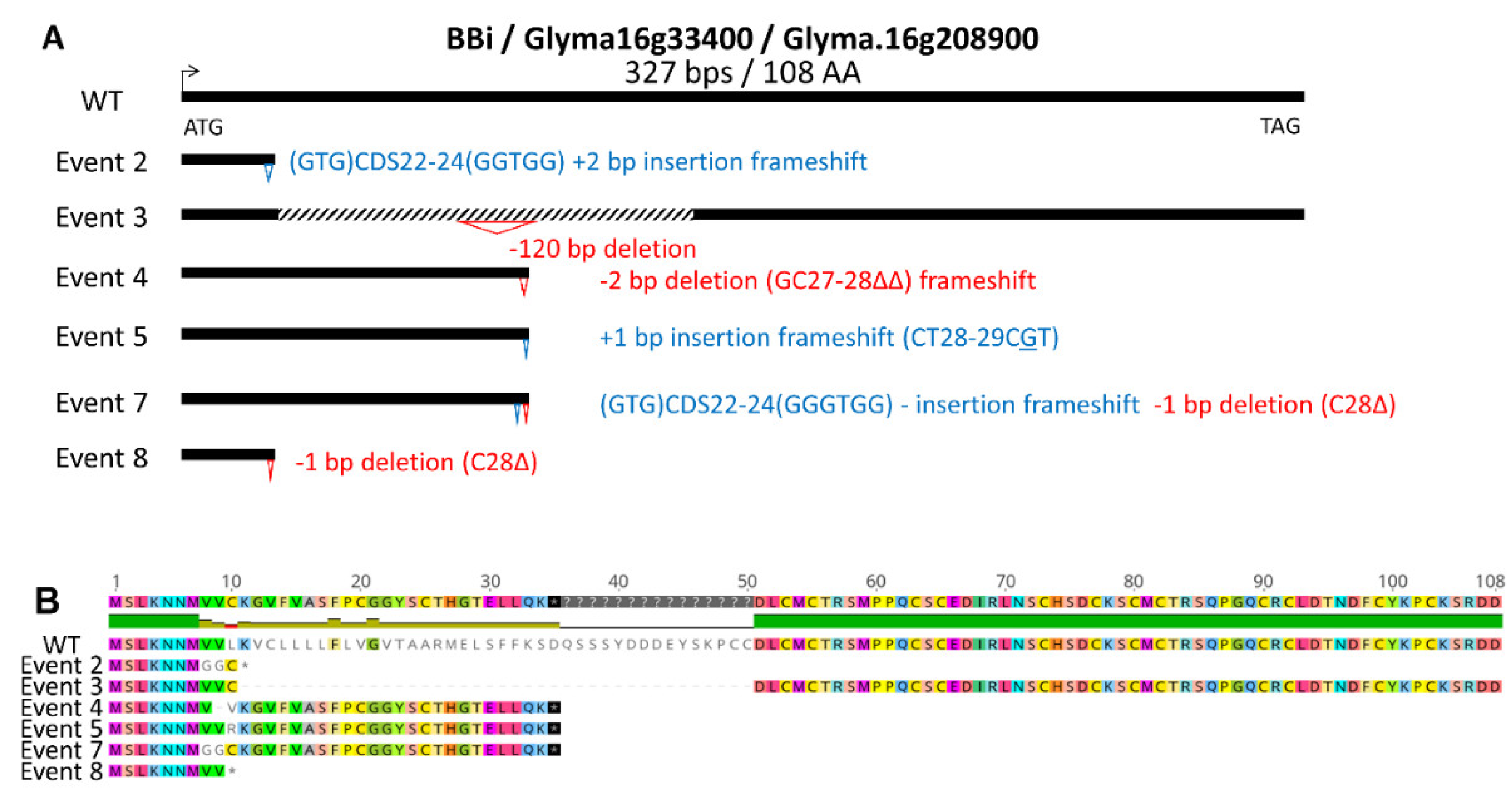 Preprints 106613 g001