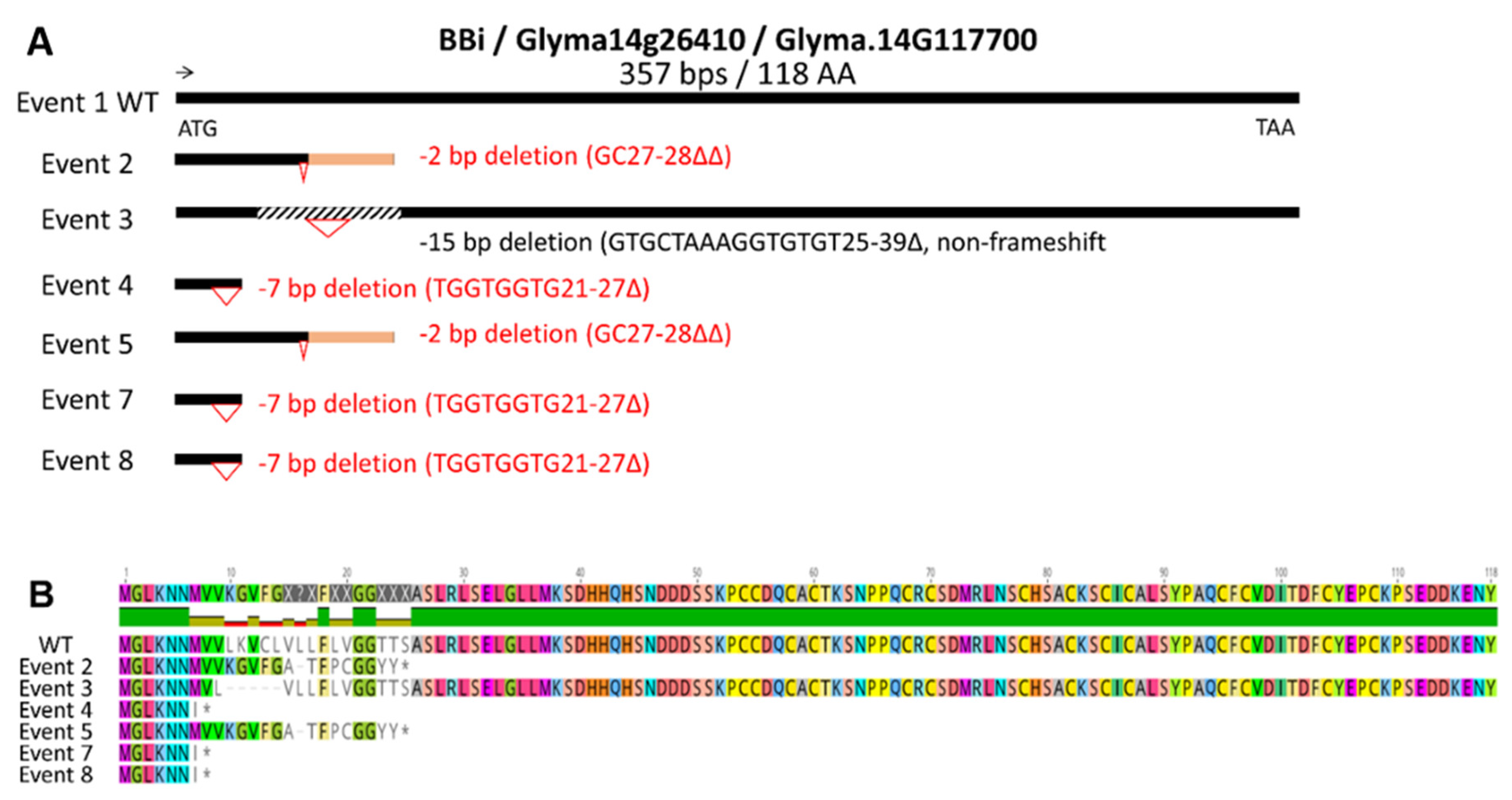 Preprints 106613 g002