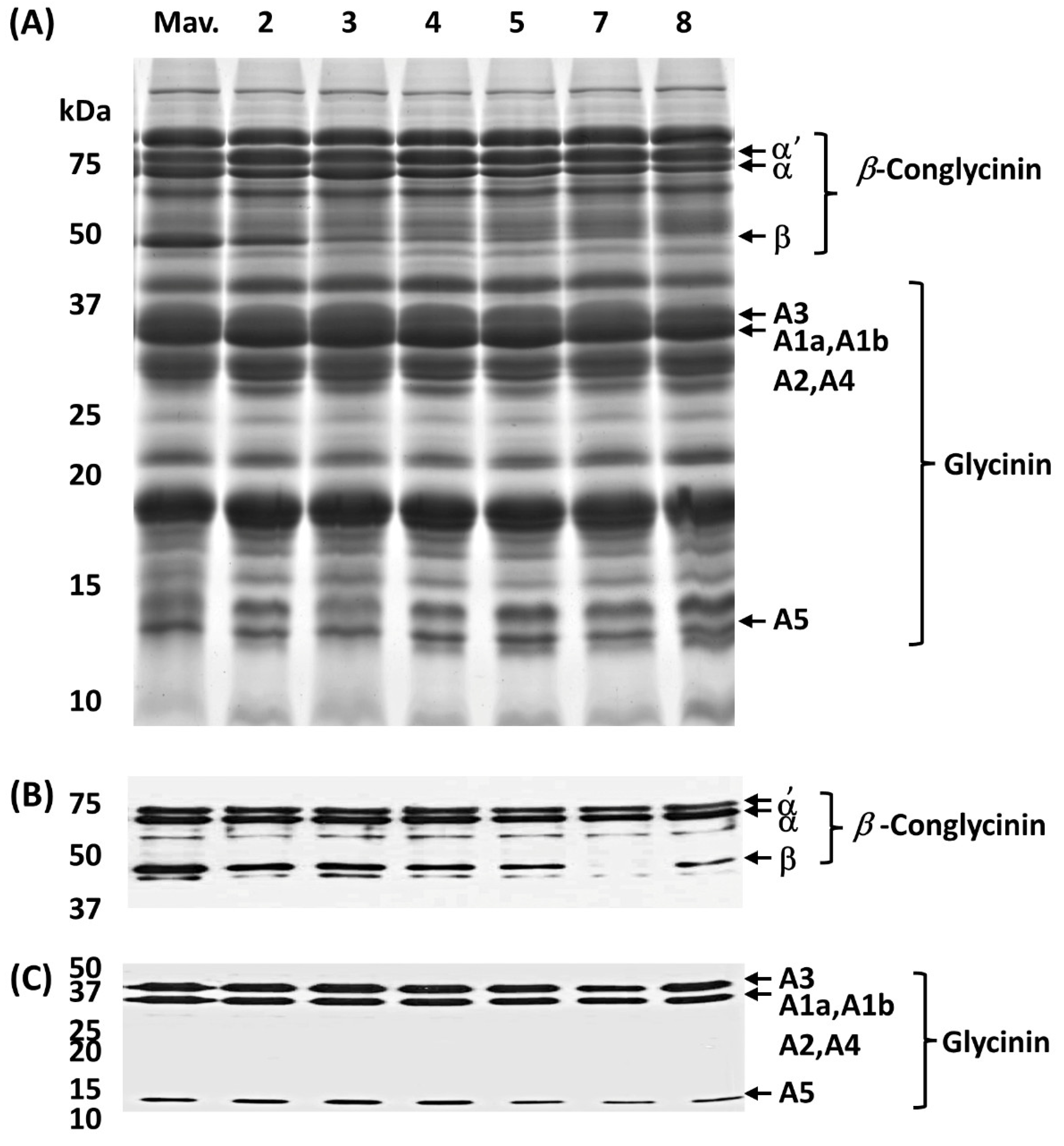 Preprints 106613 g003