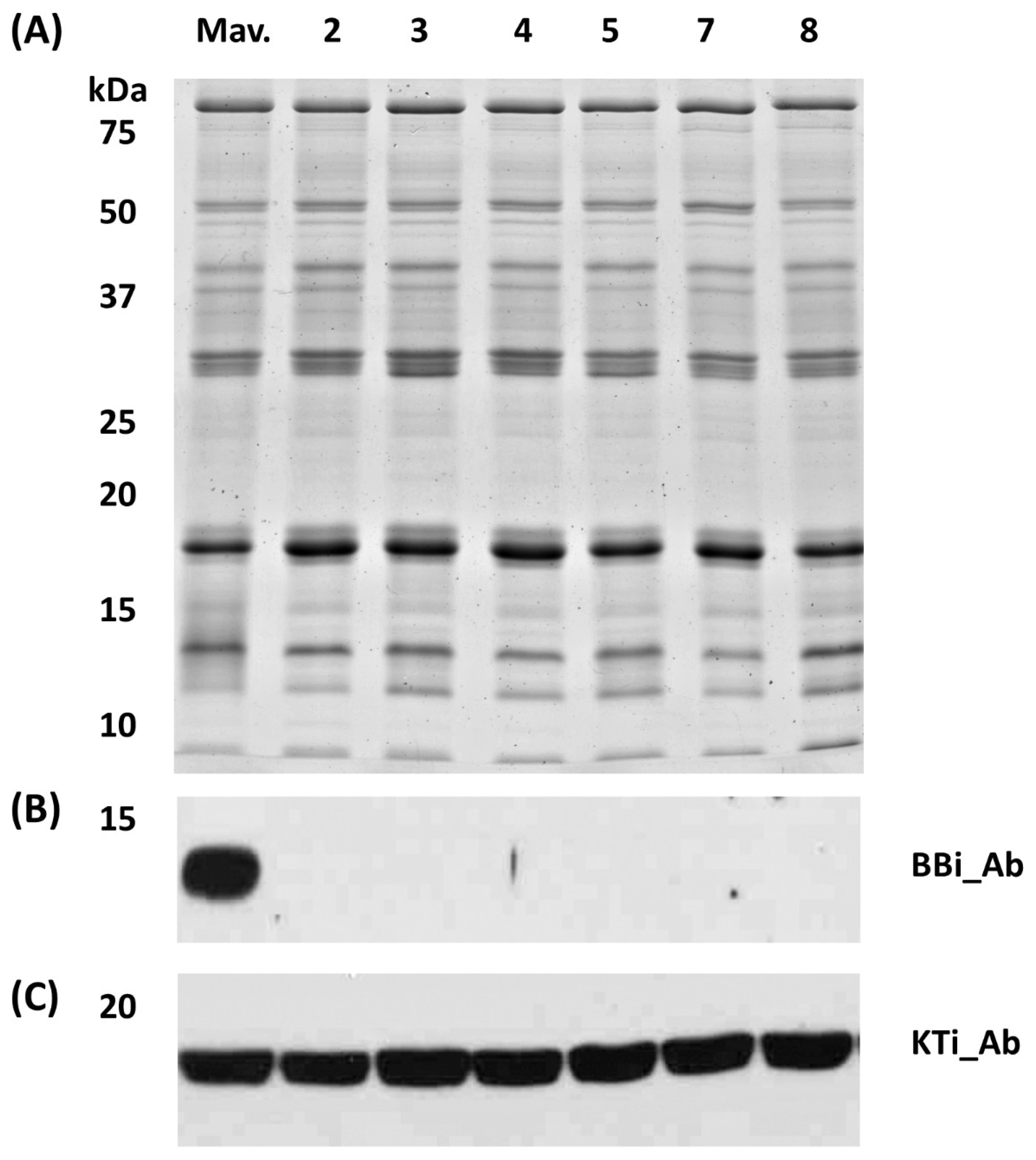 Preprints 106613 g004