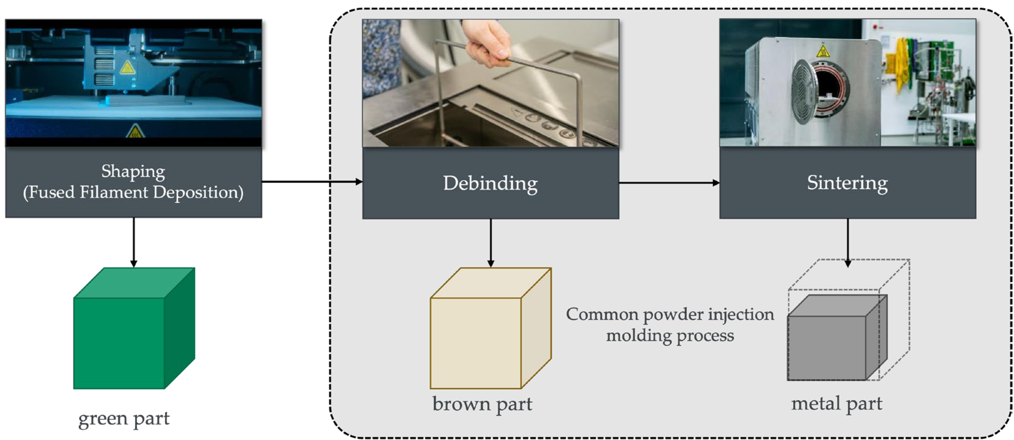 Preprints 106165 g002