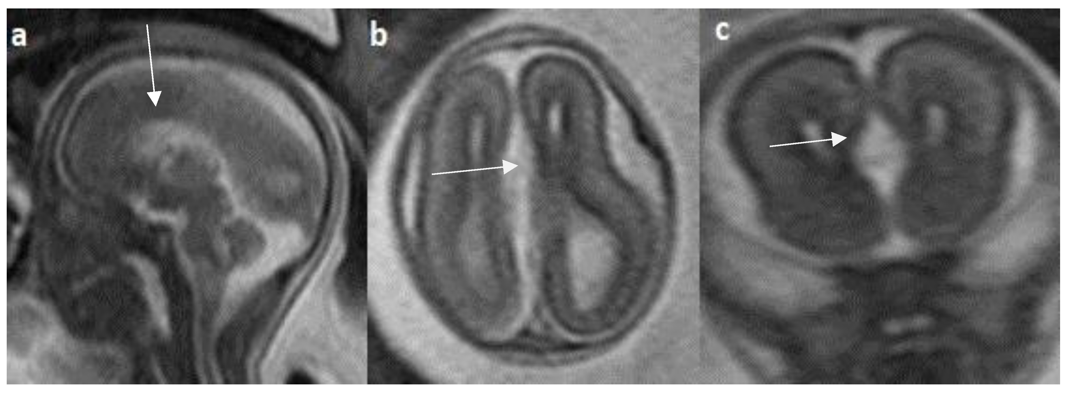 Preprints 95987 g009