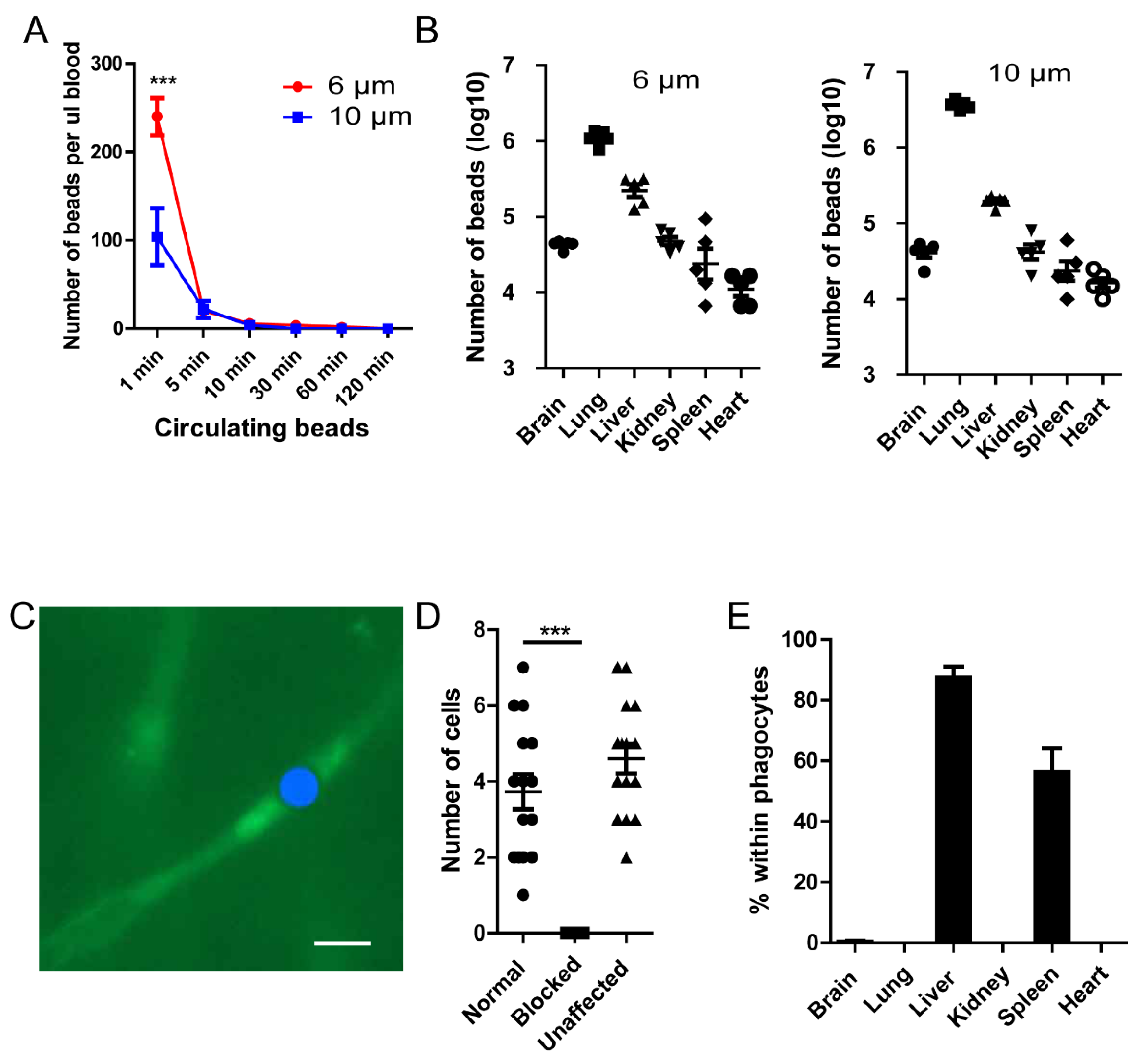 Preprints 75757 g001