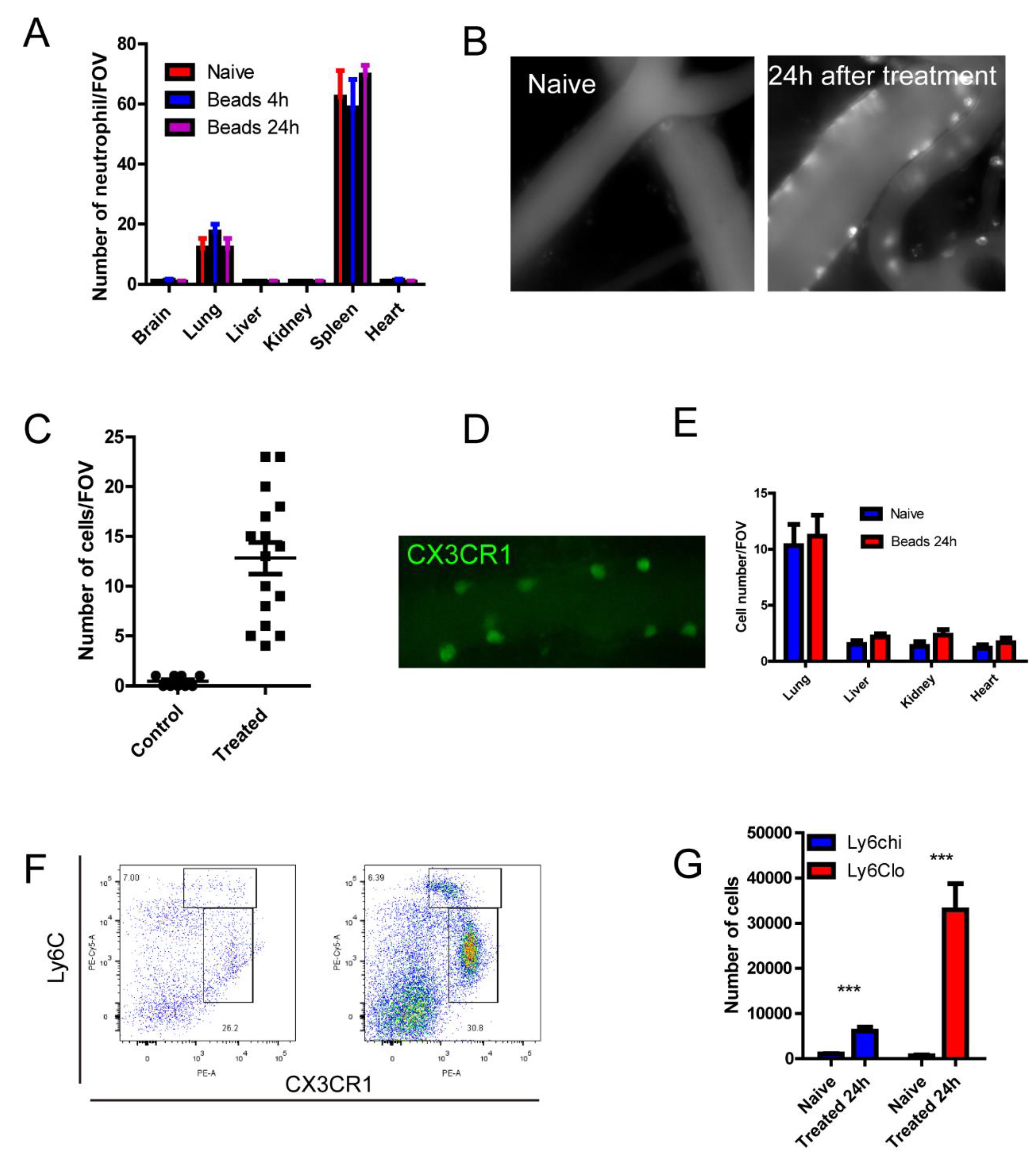 Preprints 75757 g002