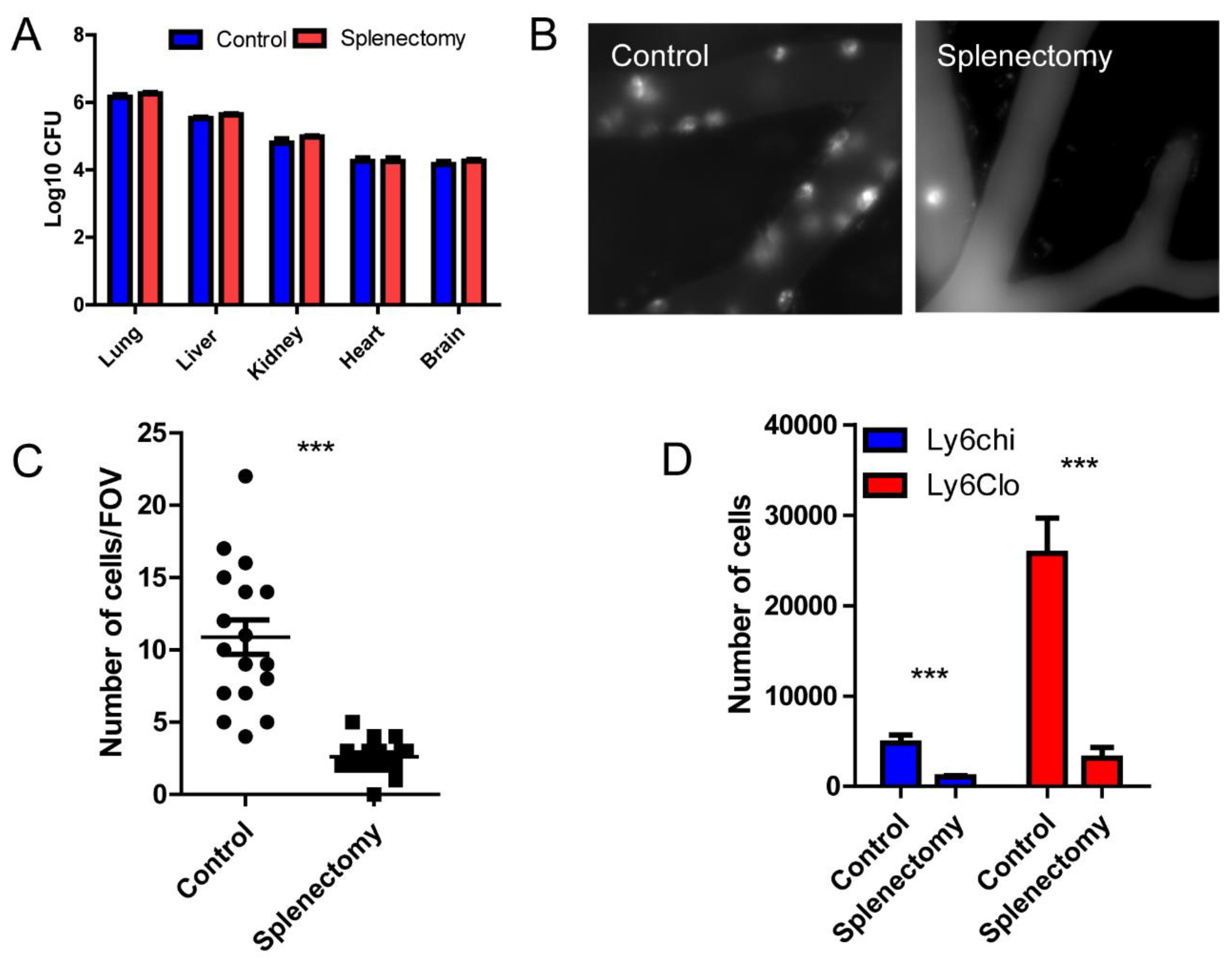 Preprints 75757 g003