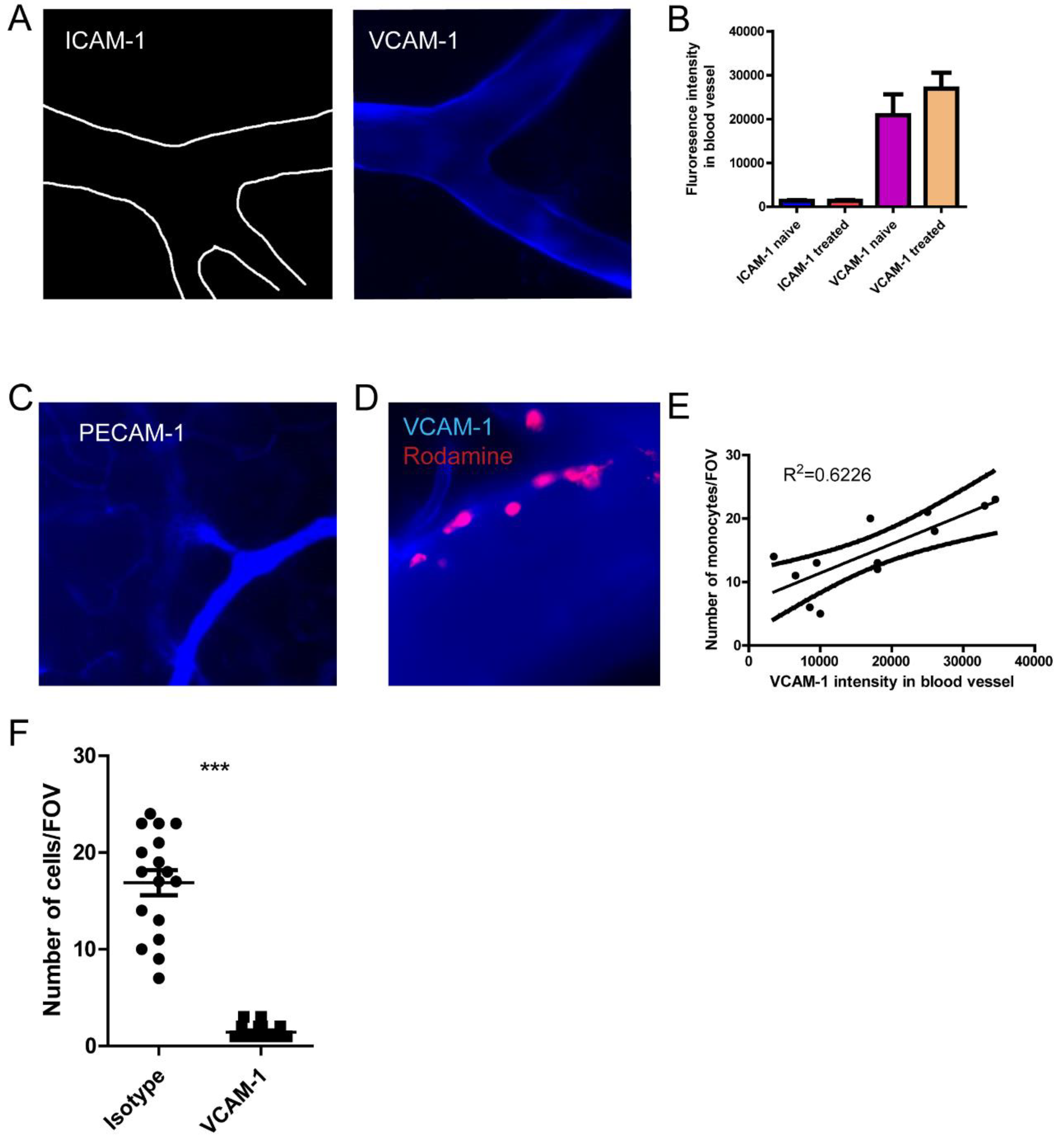 Preprints 75757 g005