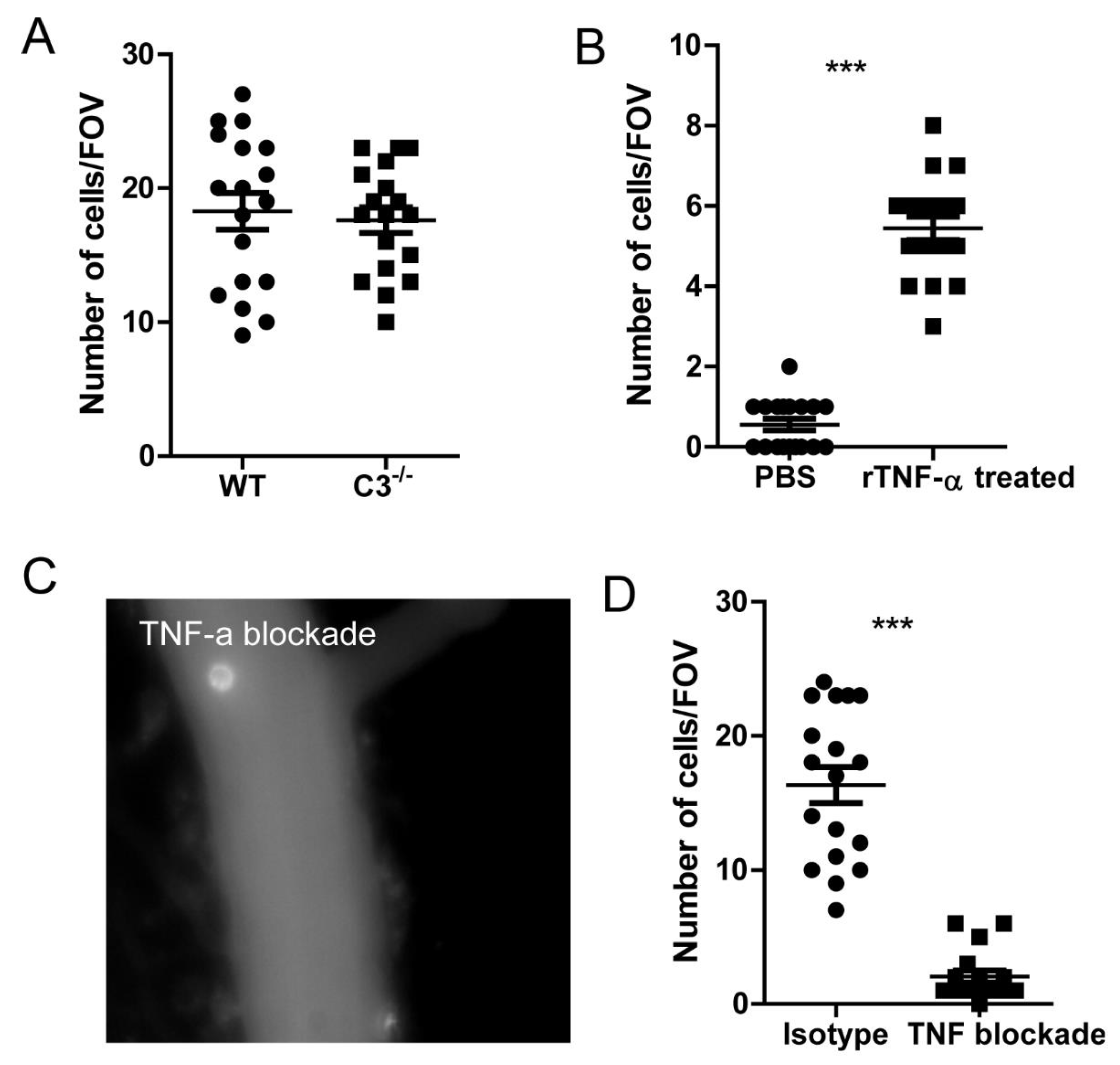 Preprints 75757 g006