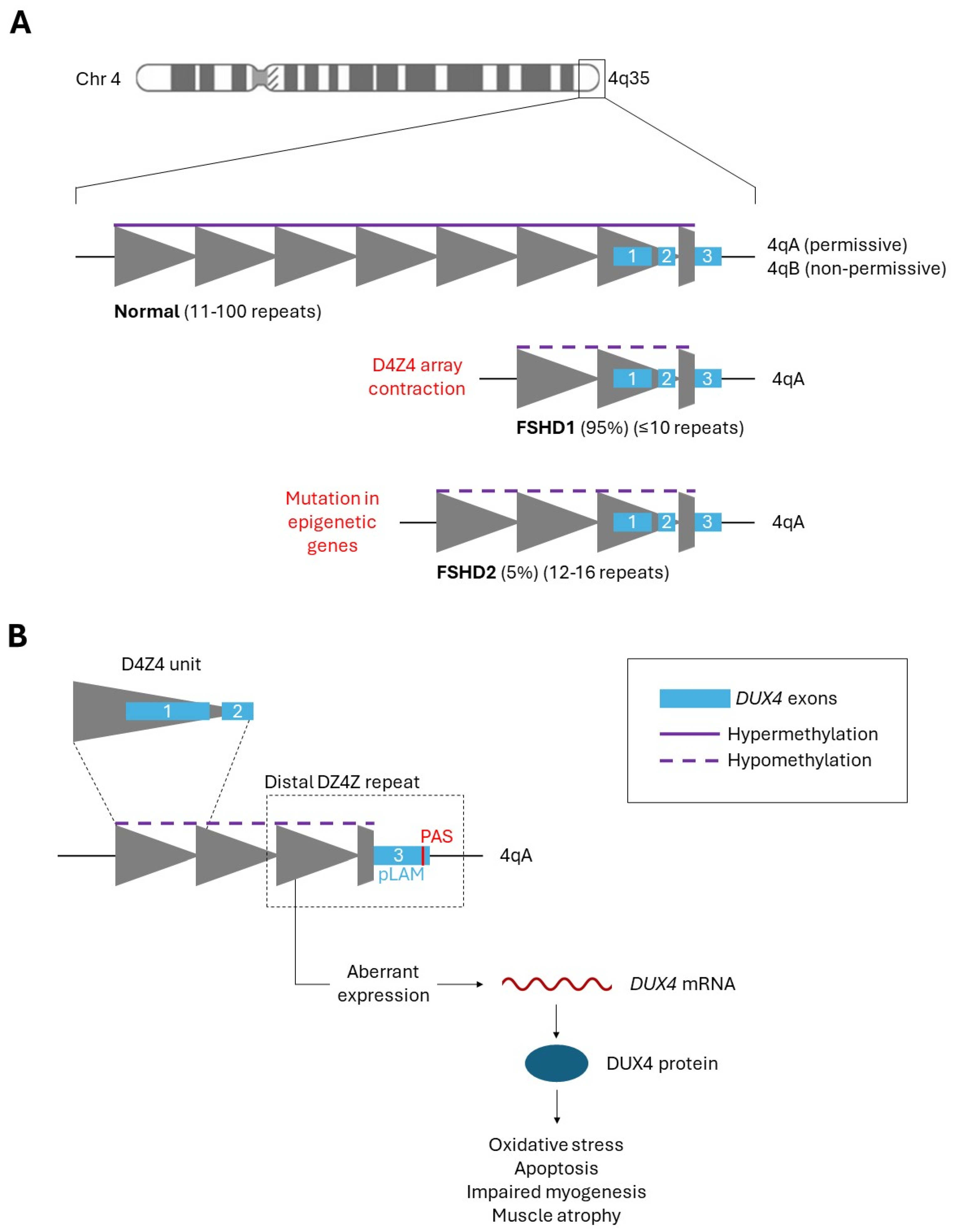 Preprints 112784 g001