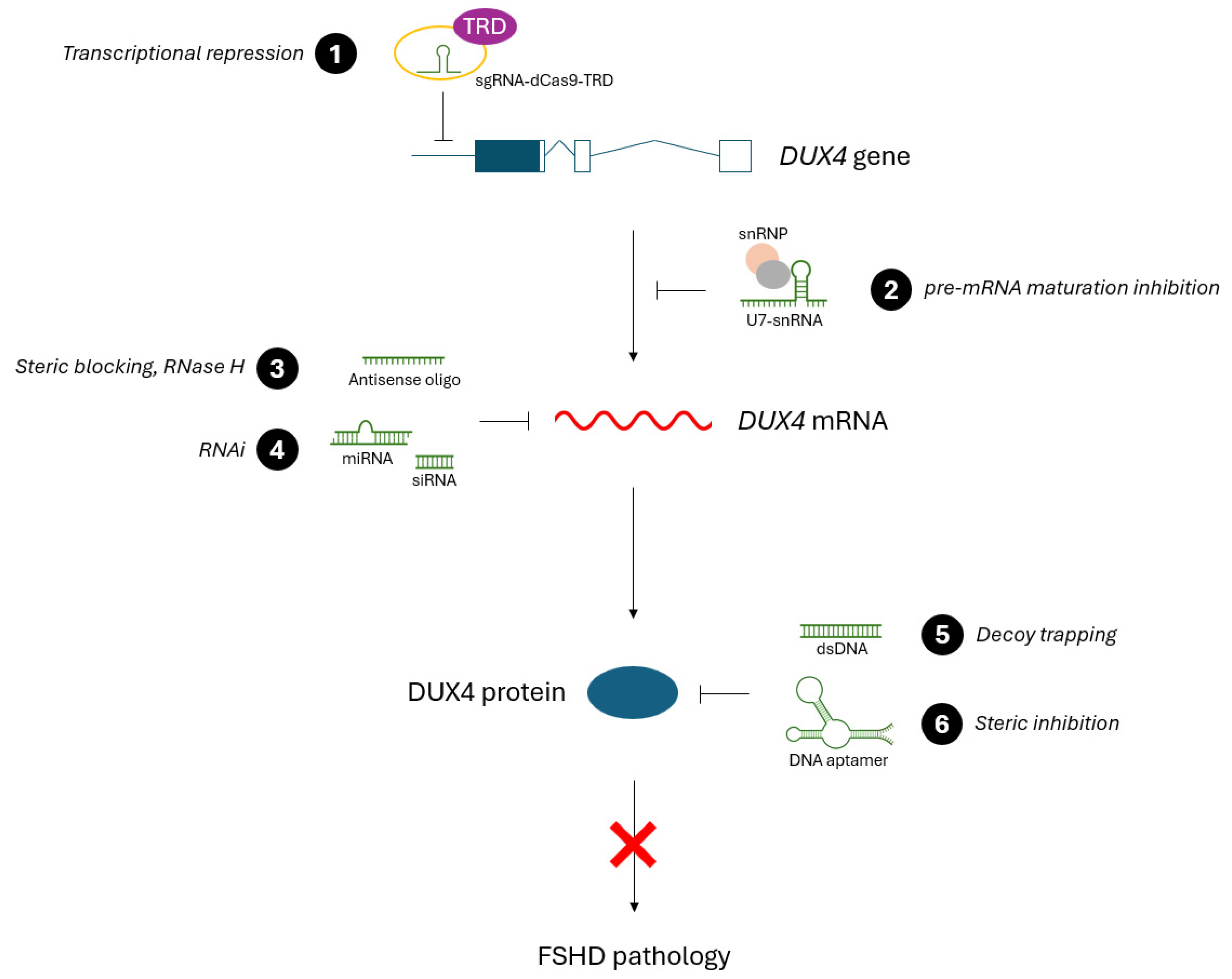 Preprints 112784 g002