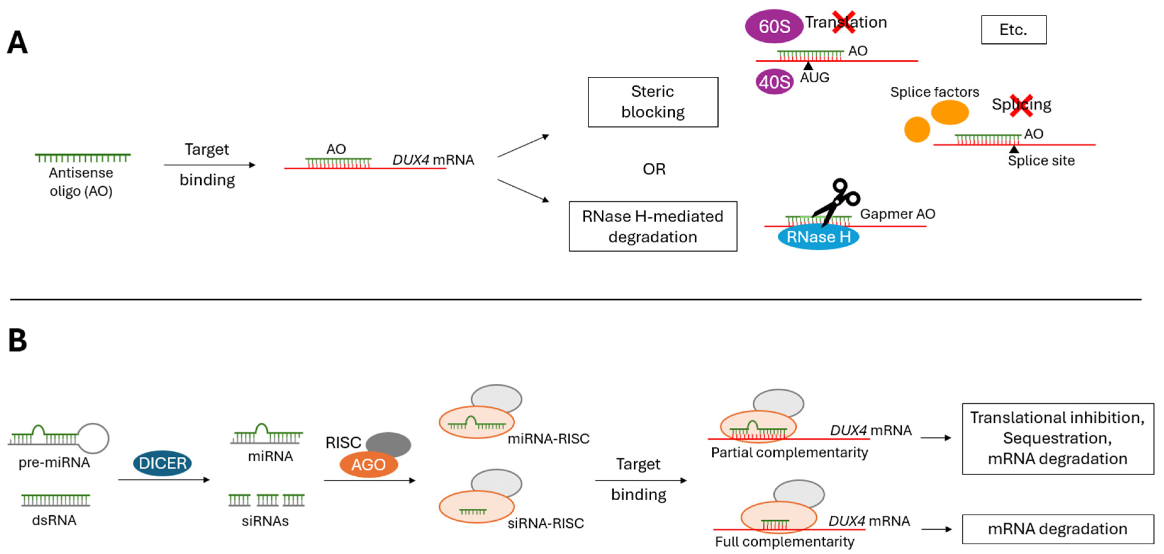 Preprints 112784 g003