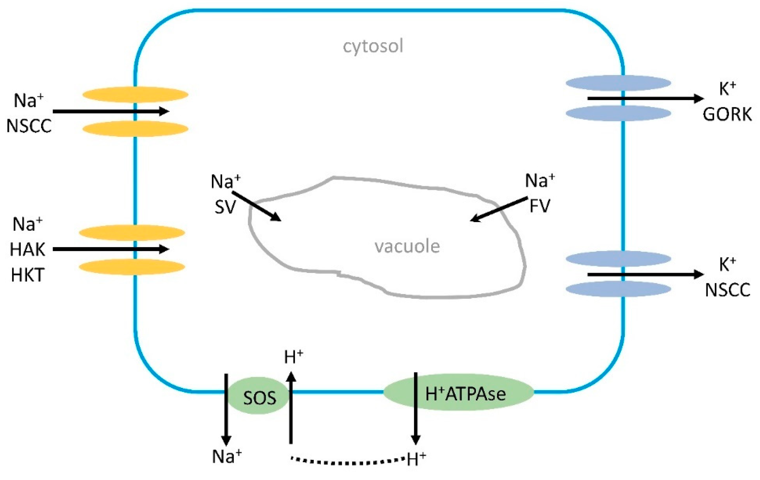 Preprints 91070 g001