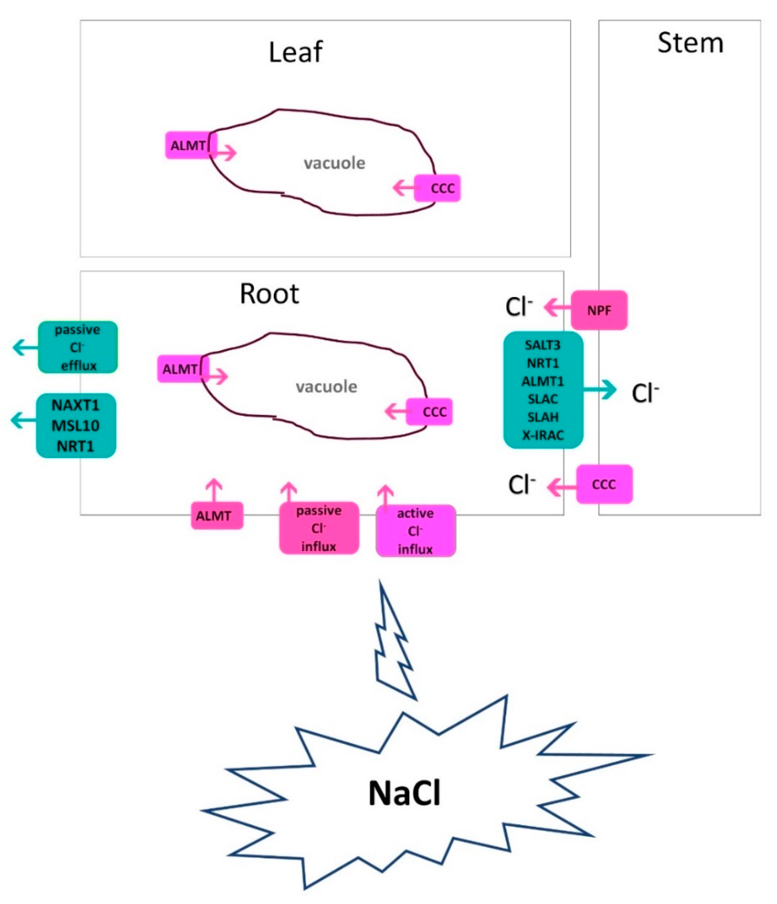 Preprints 91070 g003