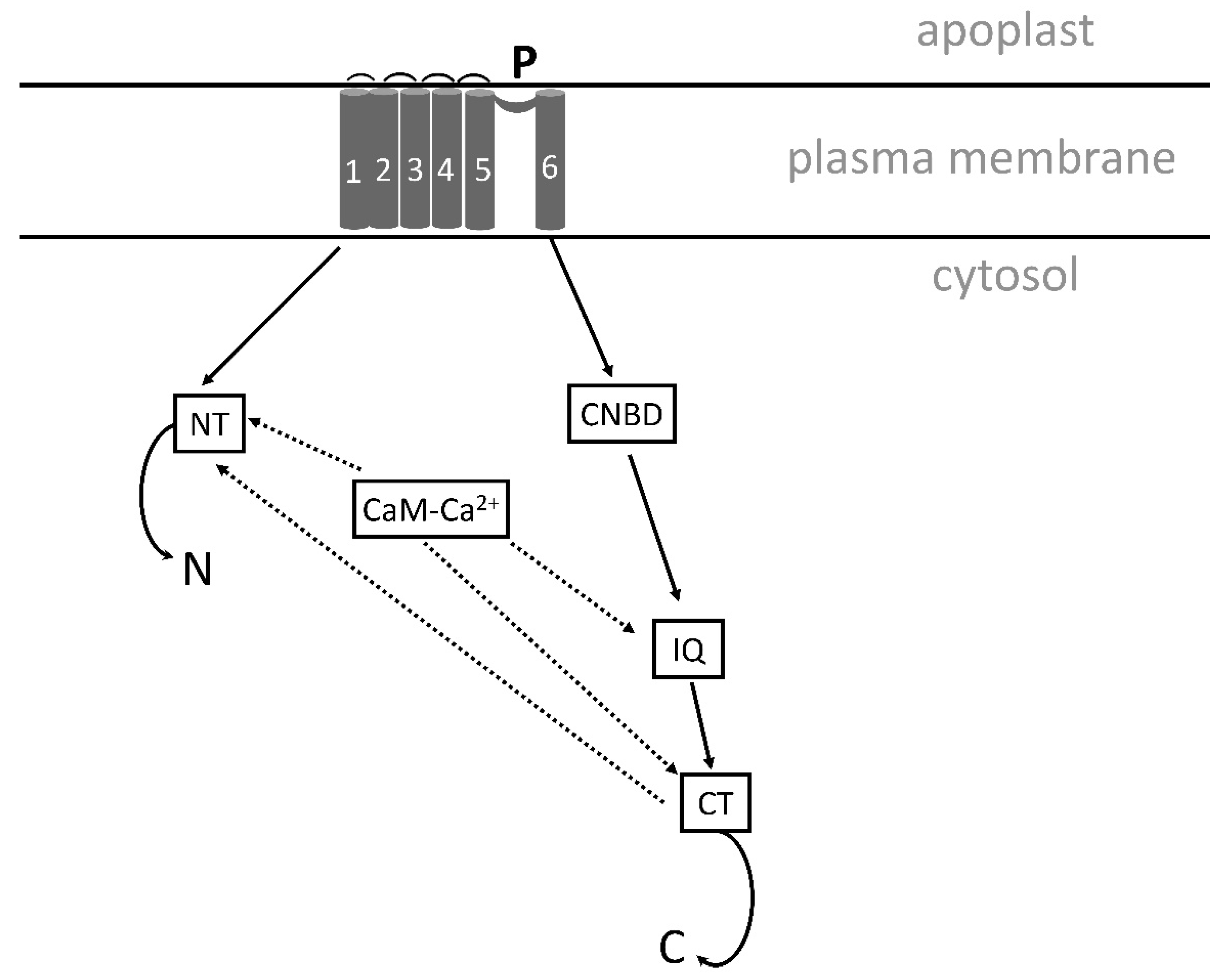 Preprints 91070 g005