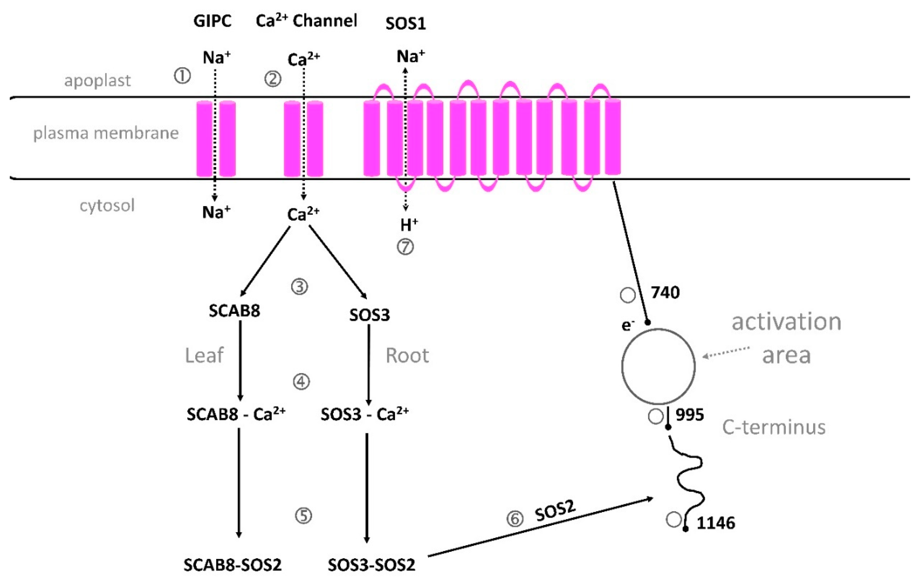 Preprints 91070 g006