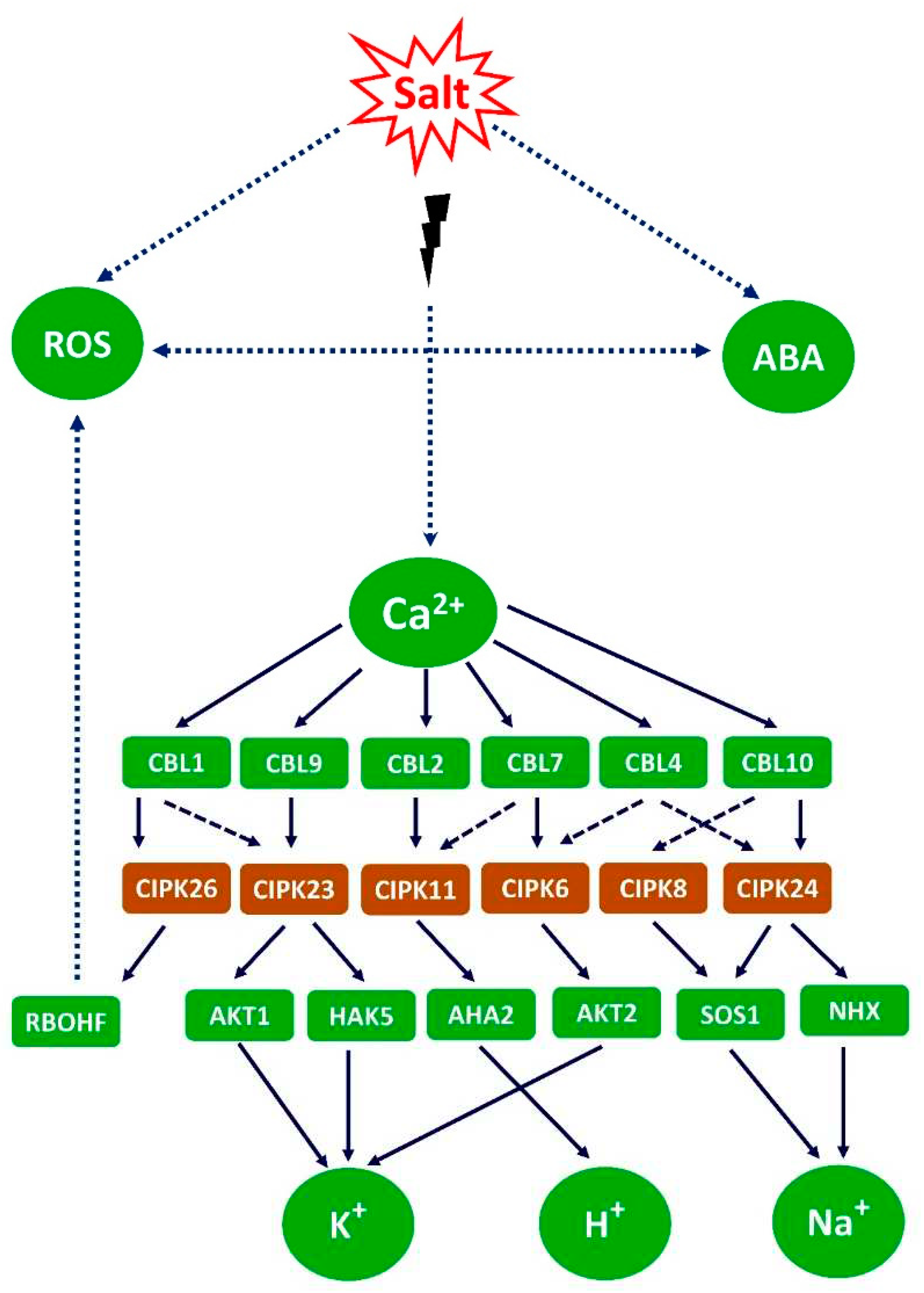 Preprints 91070 g007