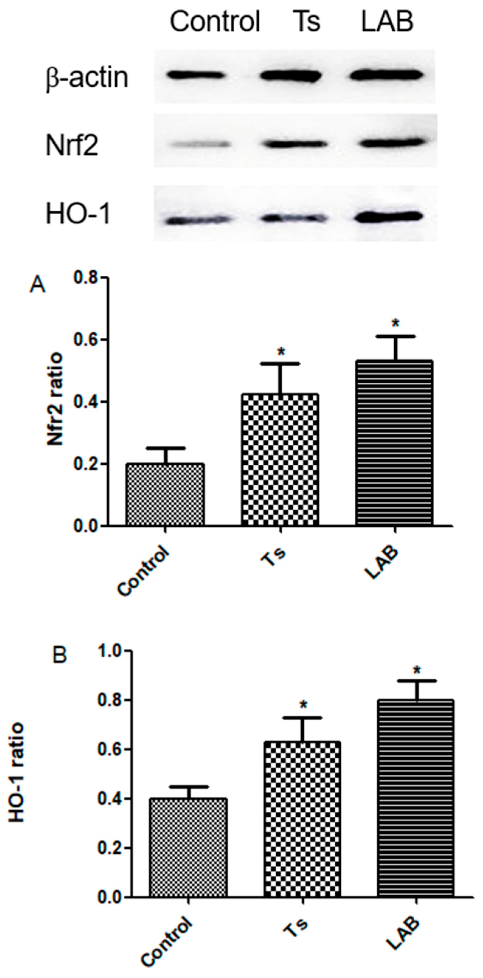 Preprints 108516 g004