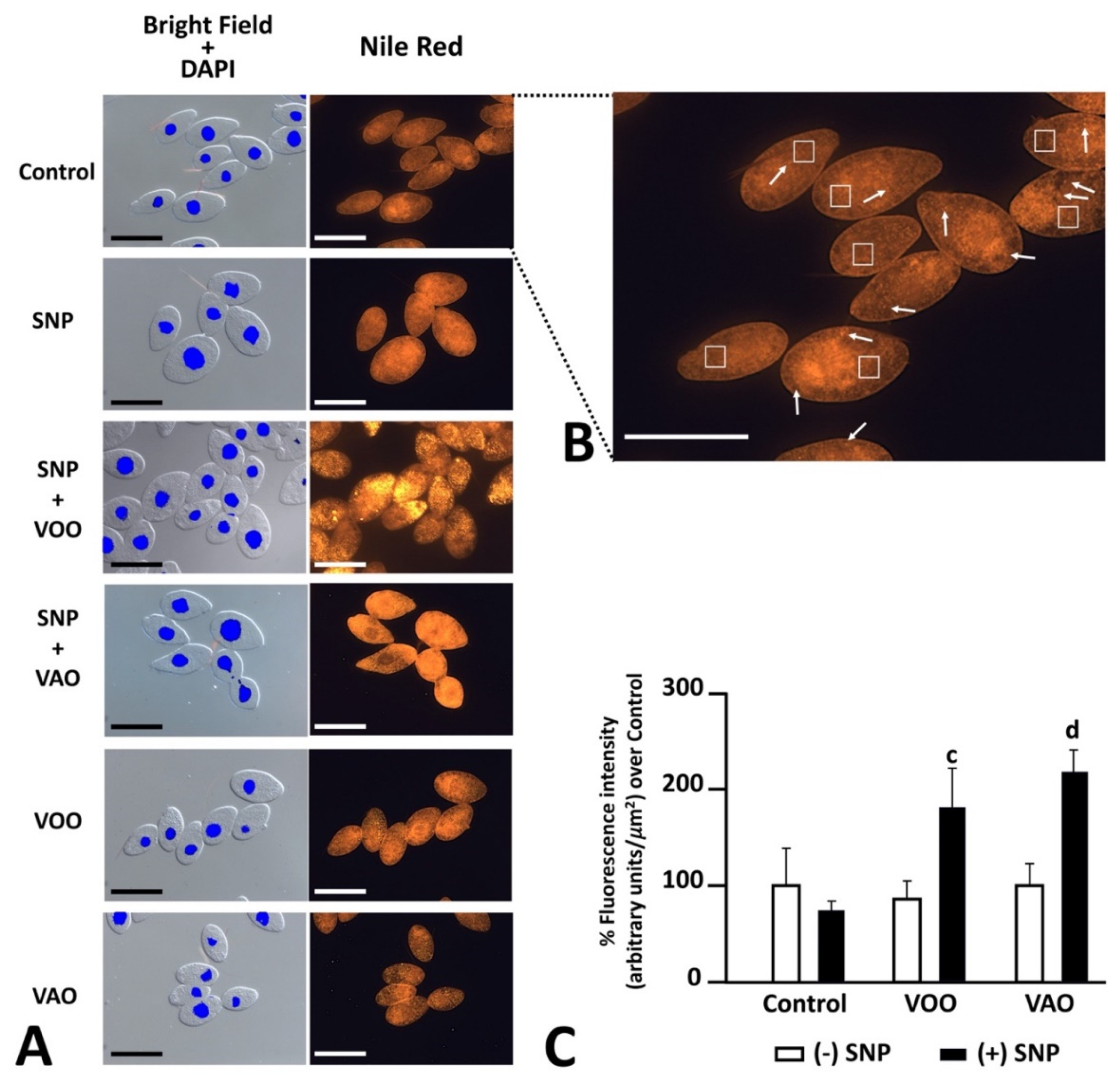 Preprints 84419 g004