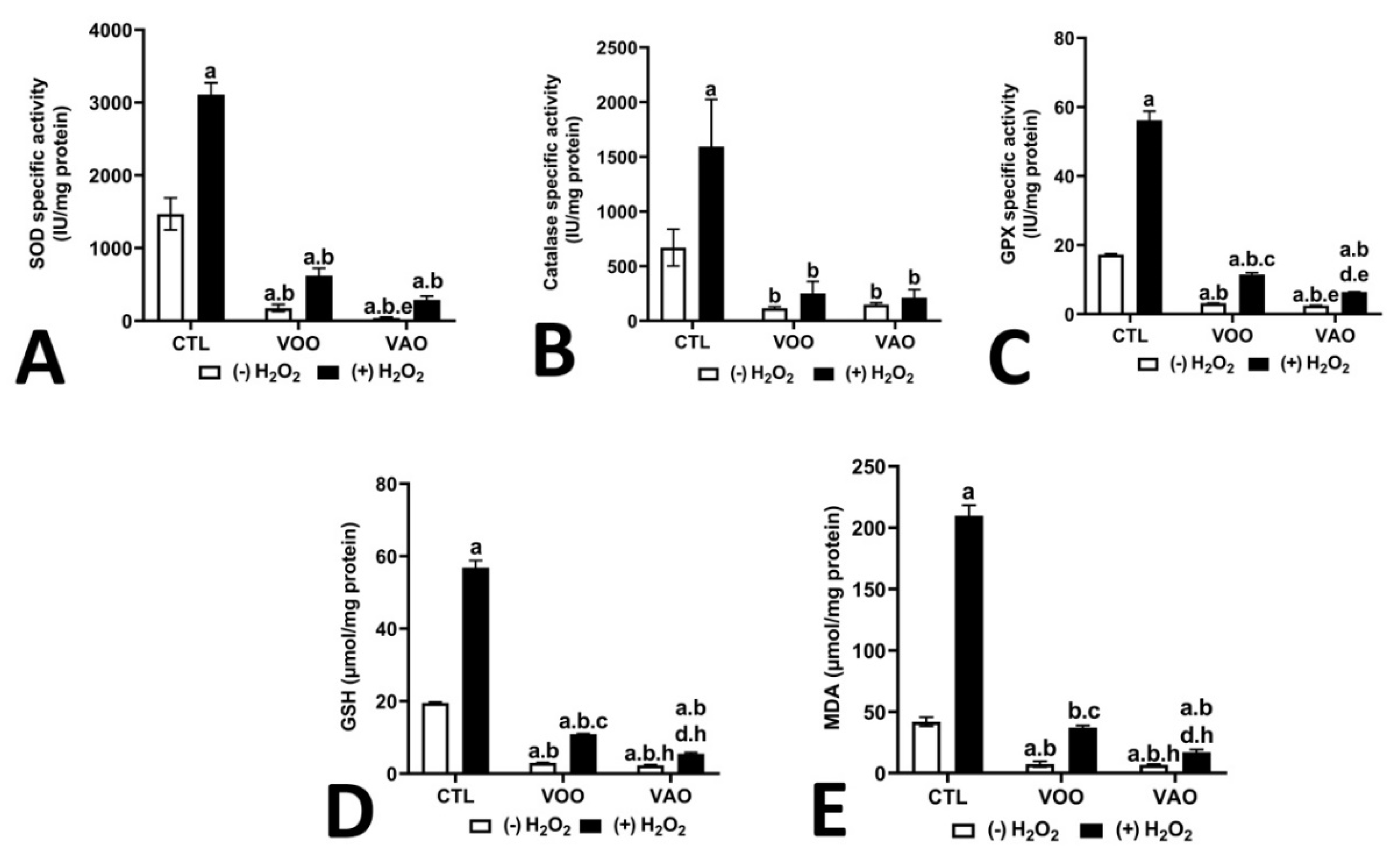 Preprints 84419 g005