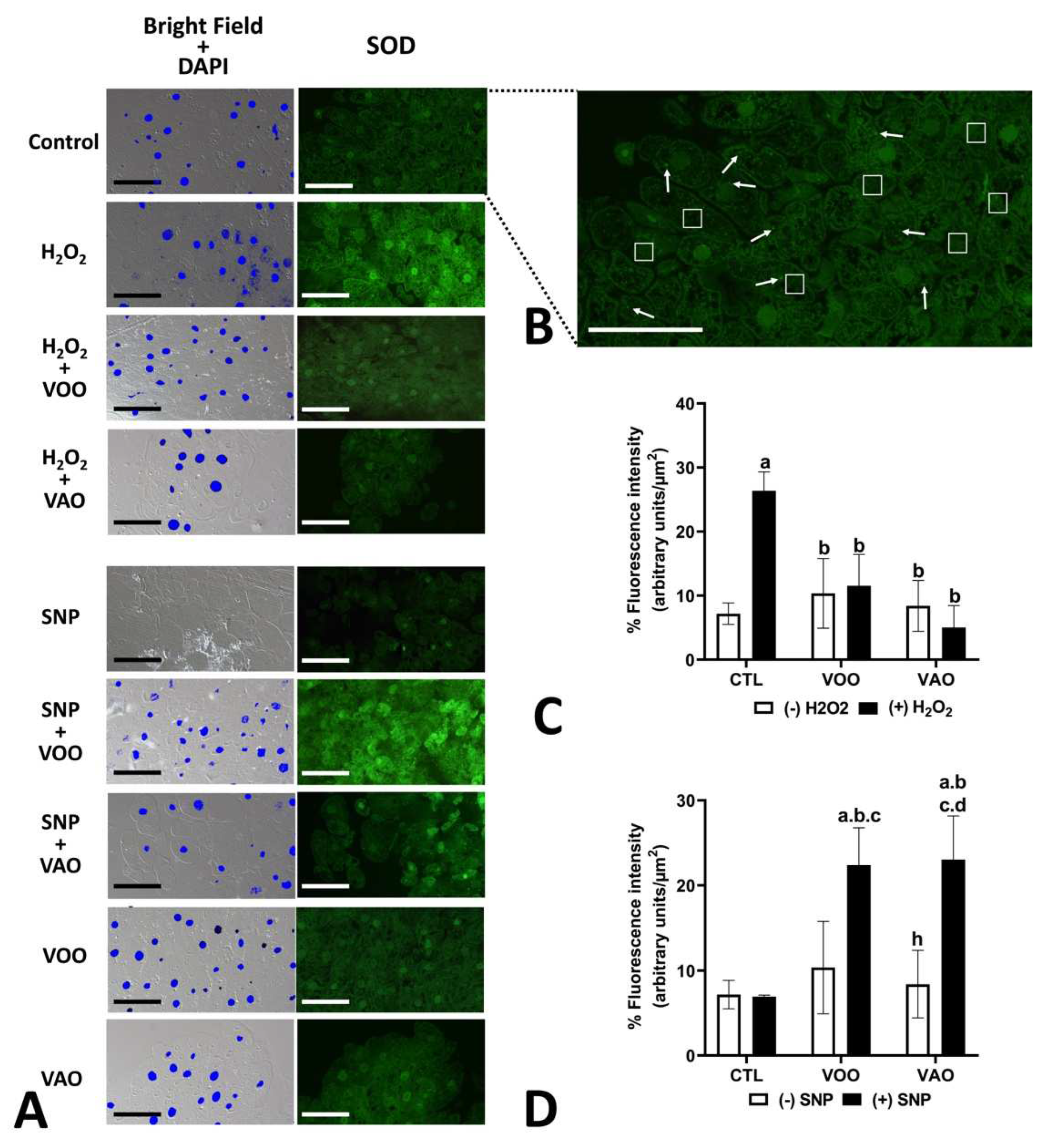 Preprints 84419 g007