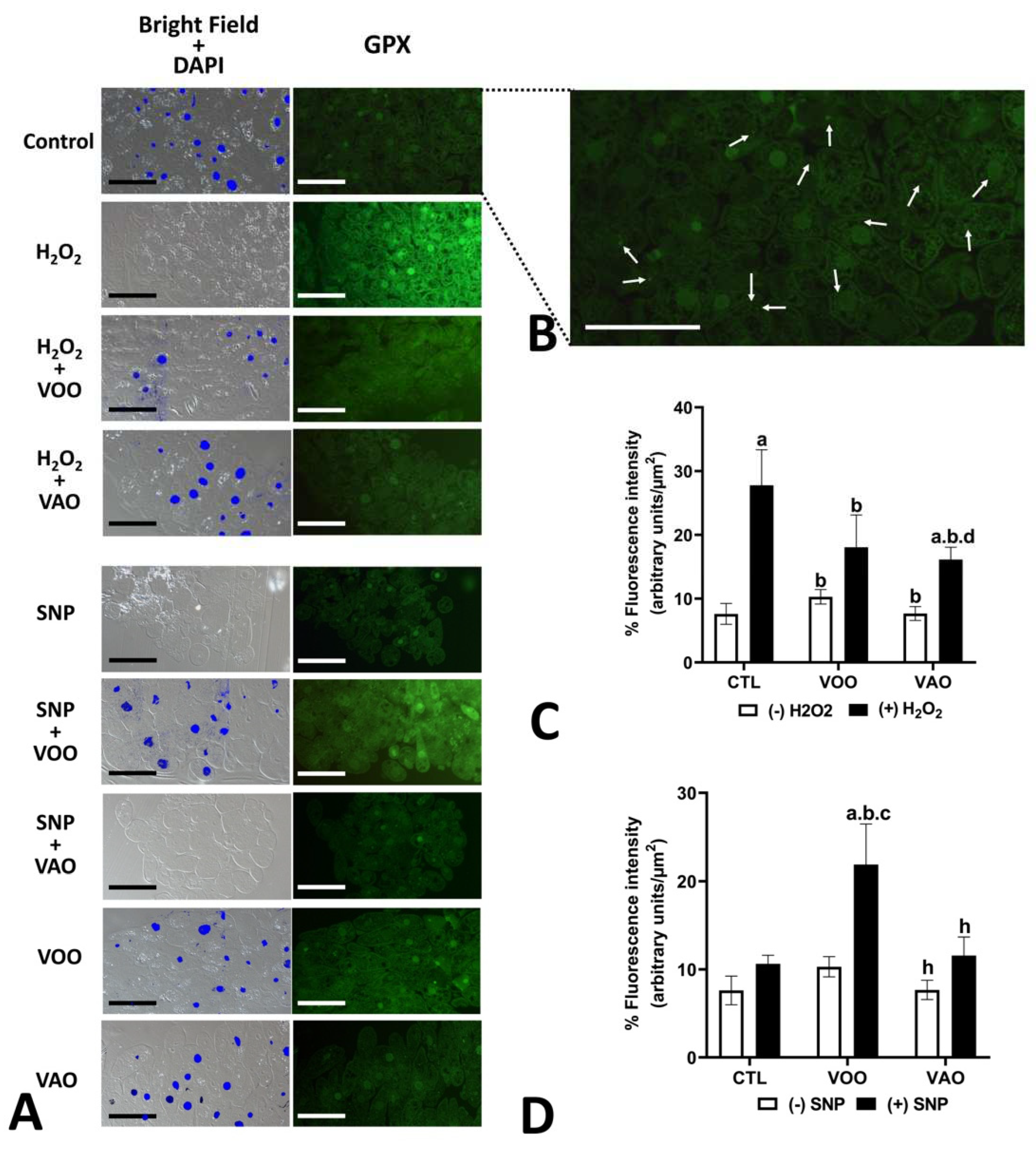 Preprints 84419 g009