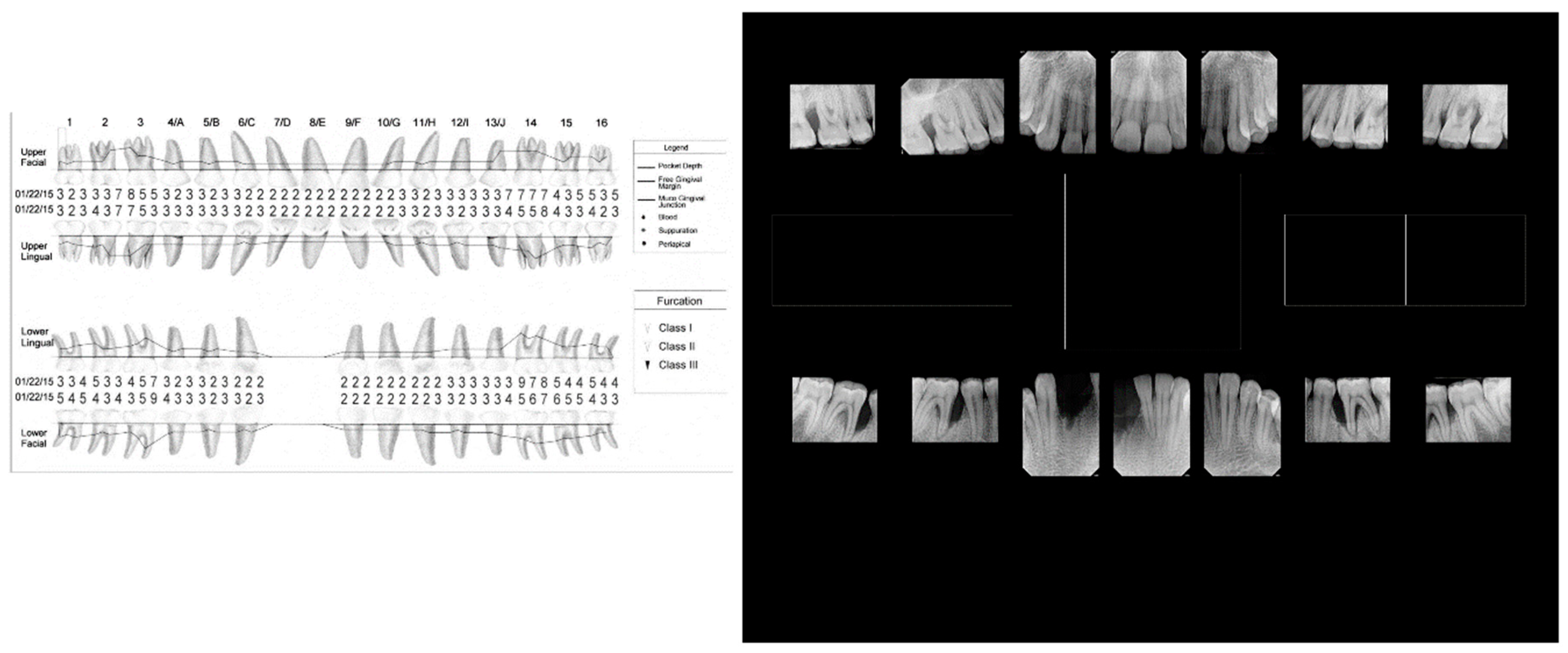 Preprints 113826 g004