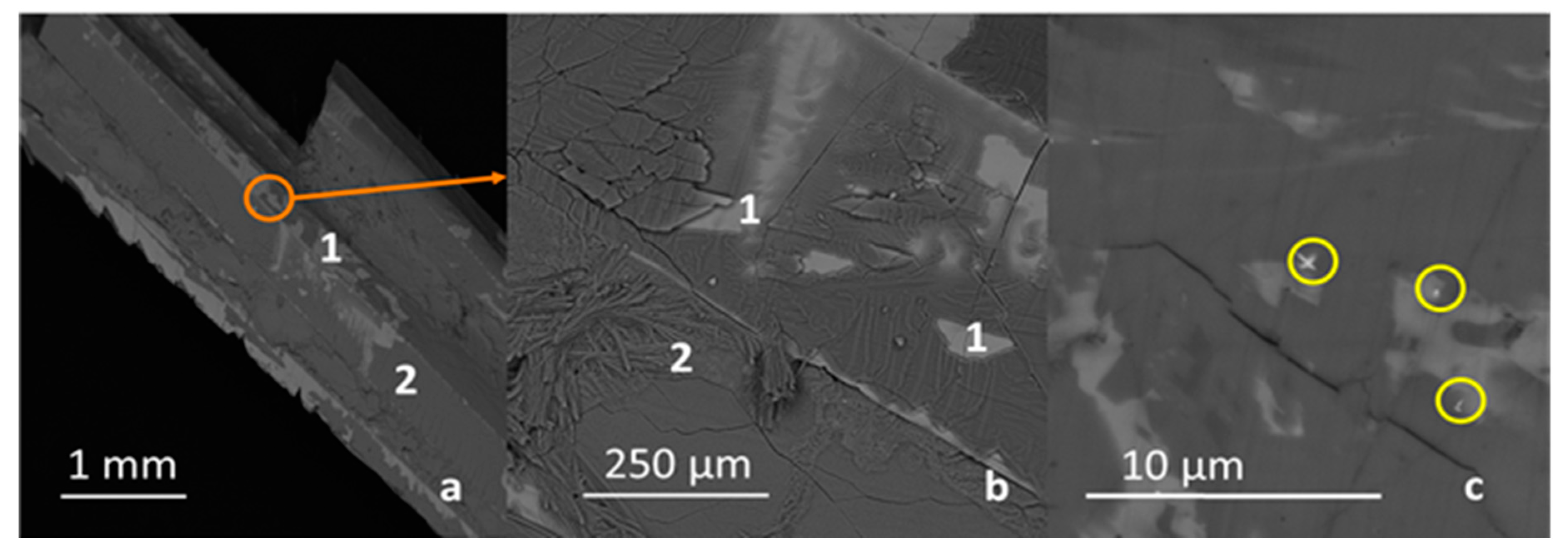 Preprints 85040 g005