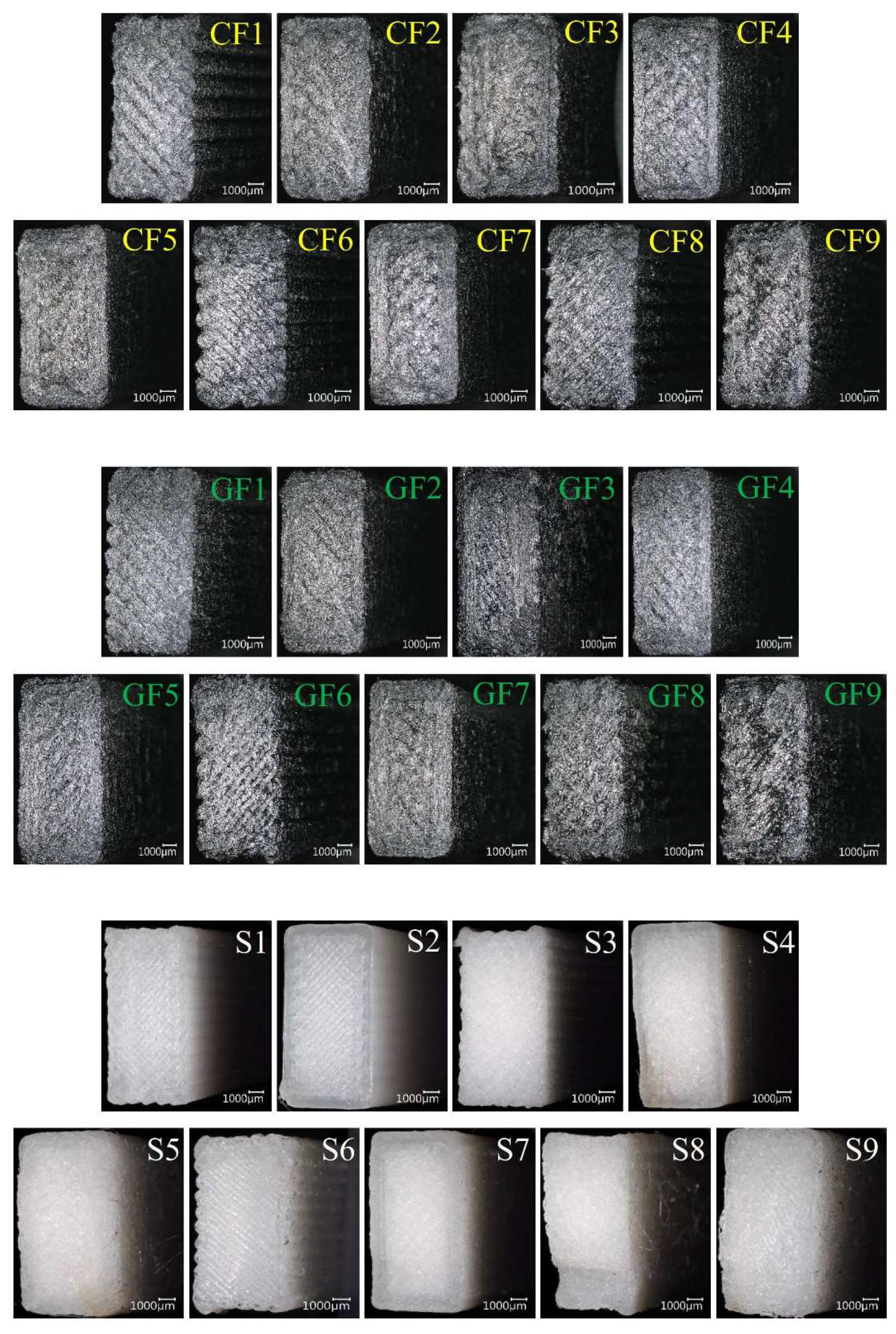 Preprints 119710 g012