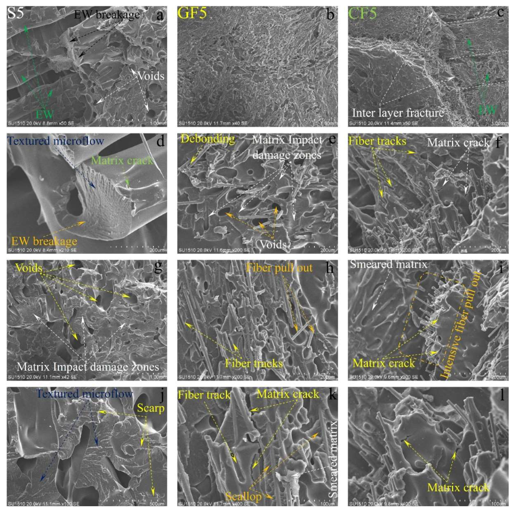 Preprints 119710 g014