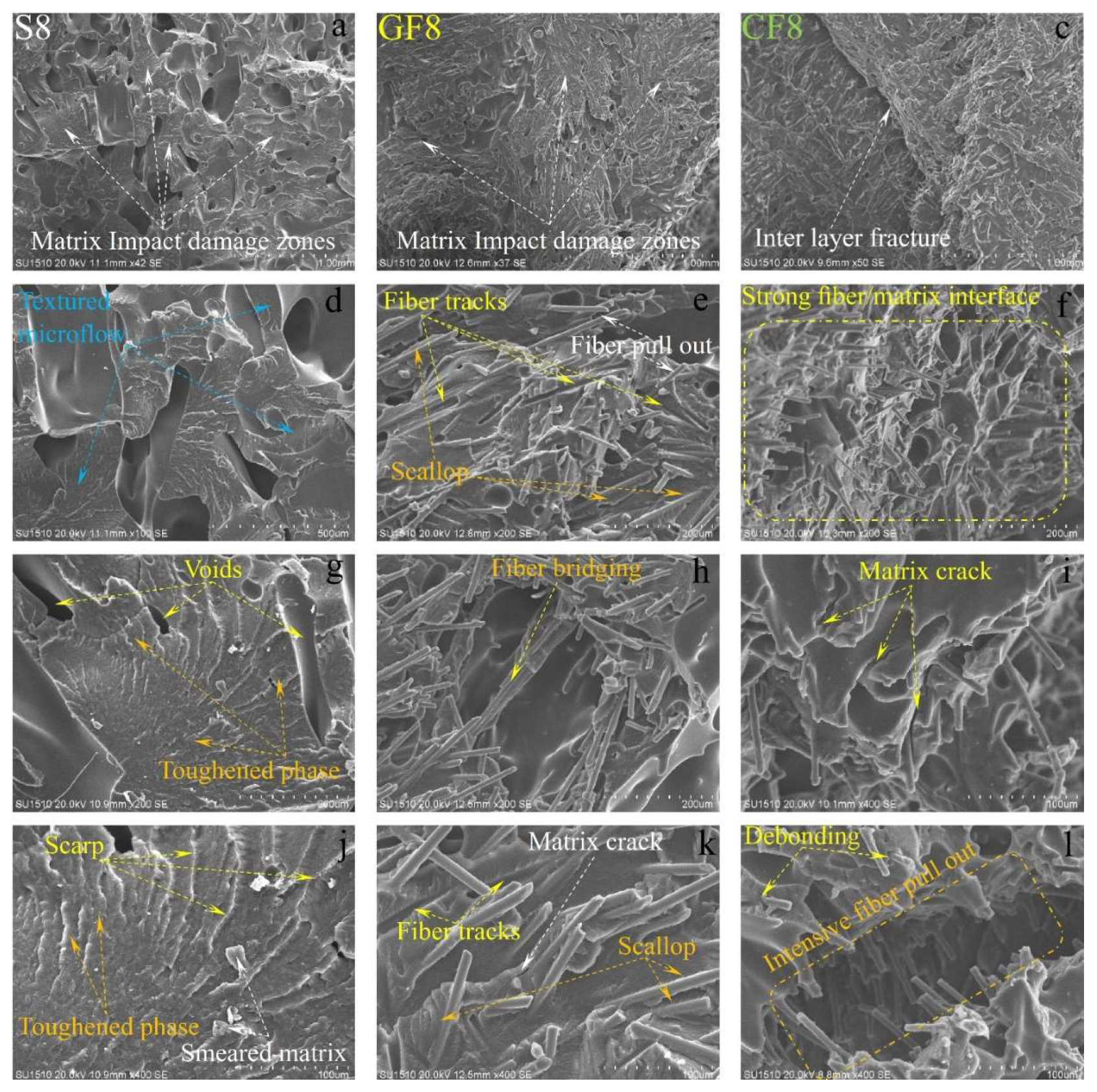 Preprints 119710 g015