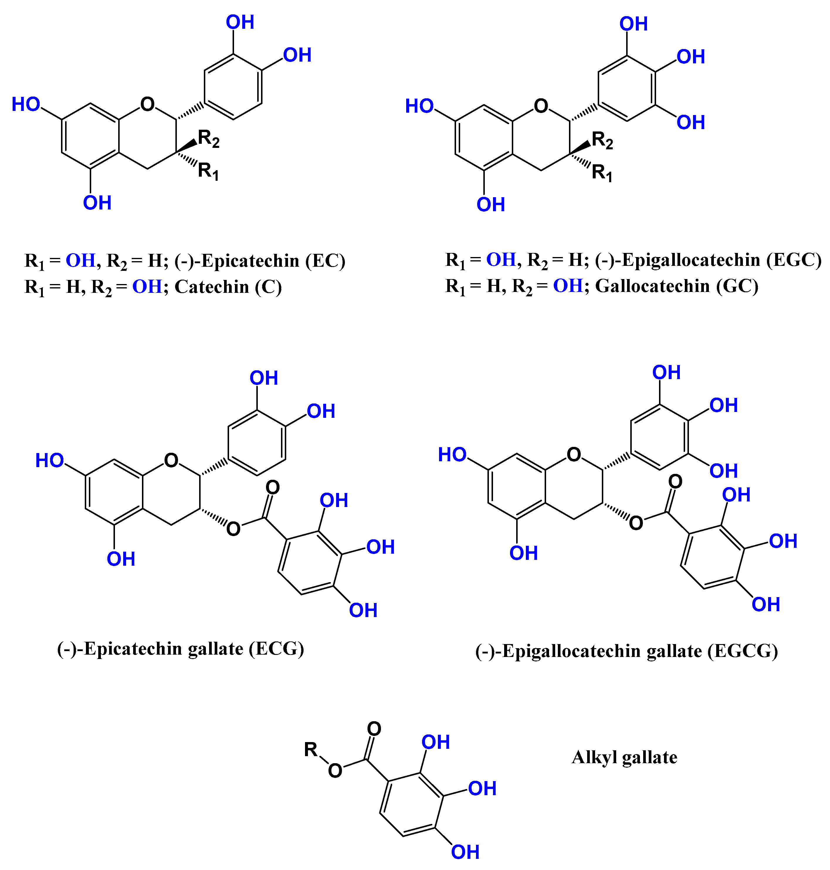 Preprints 74985 g001