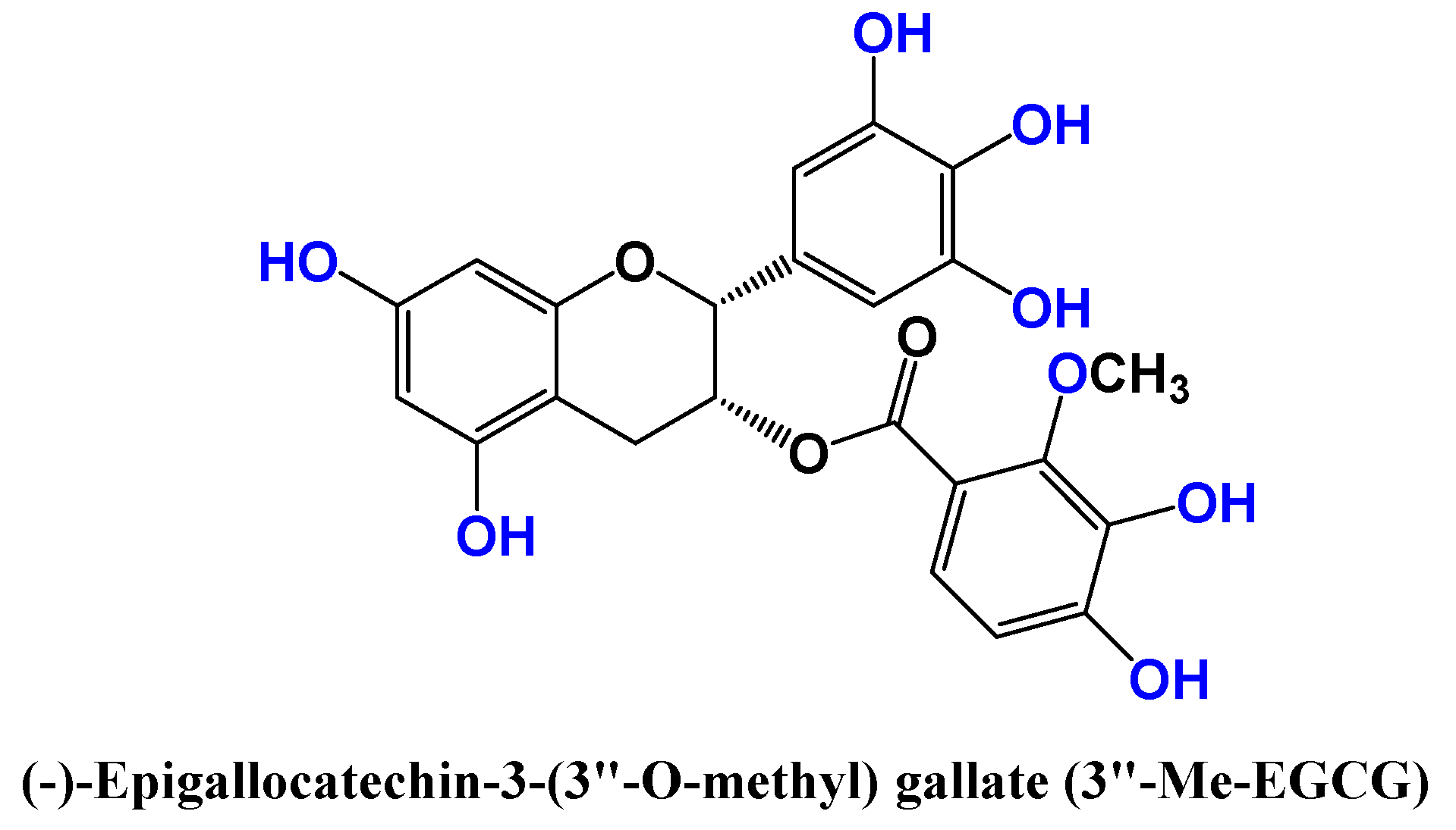 Preprints 74985 g002