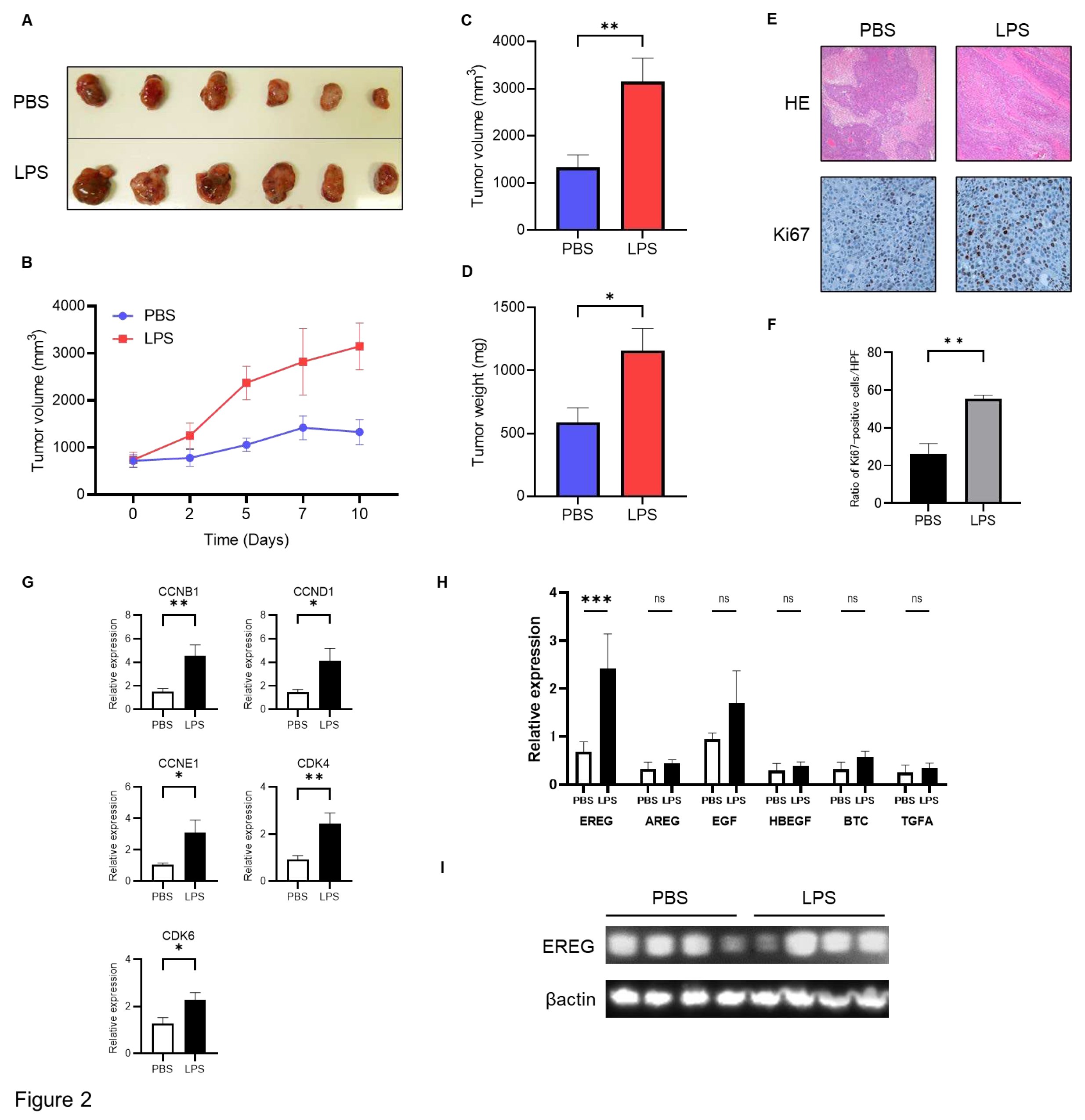 Preprints 95172 g002