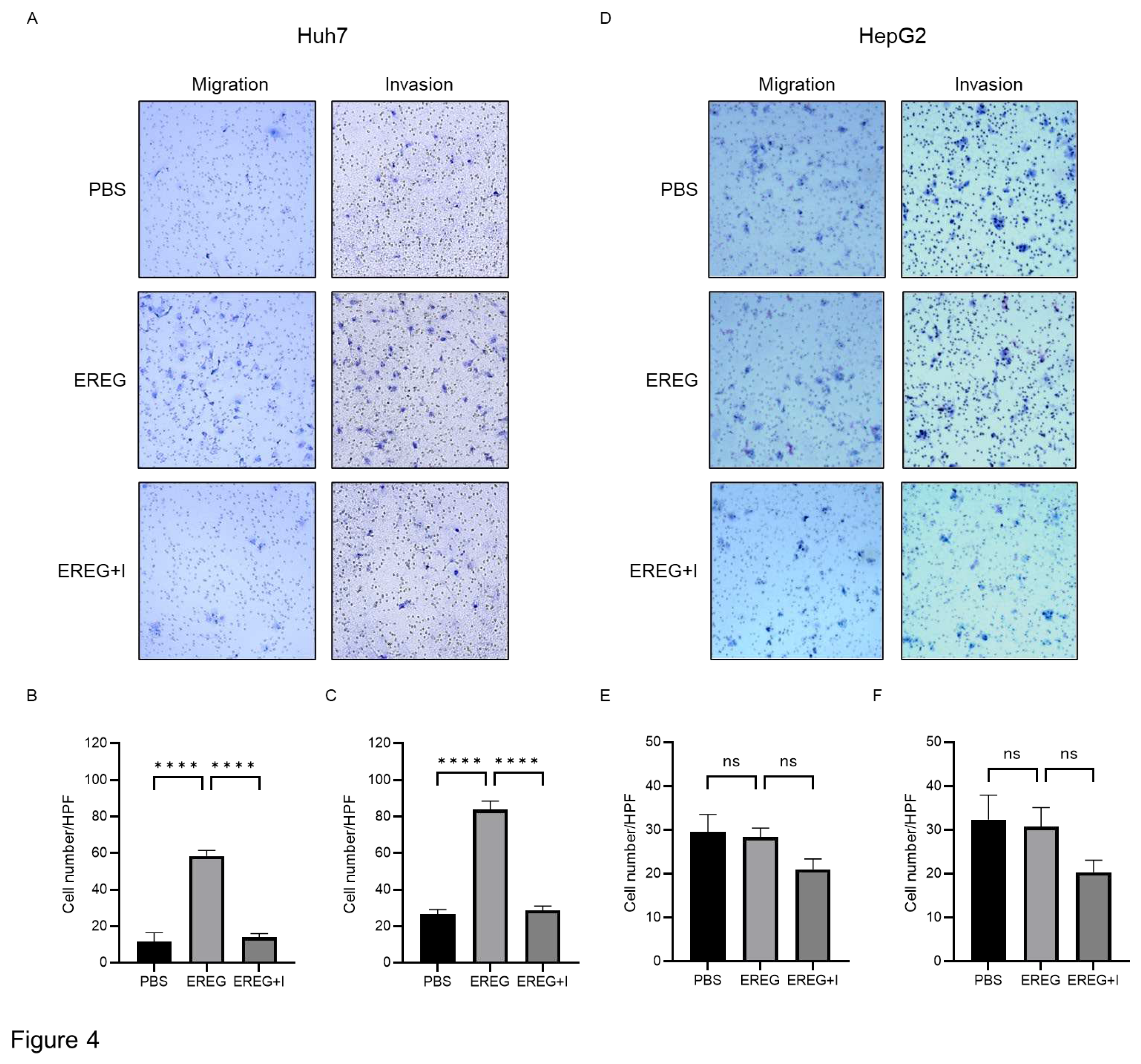 Preprints 95172 g004