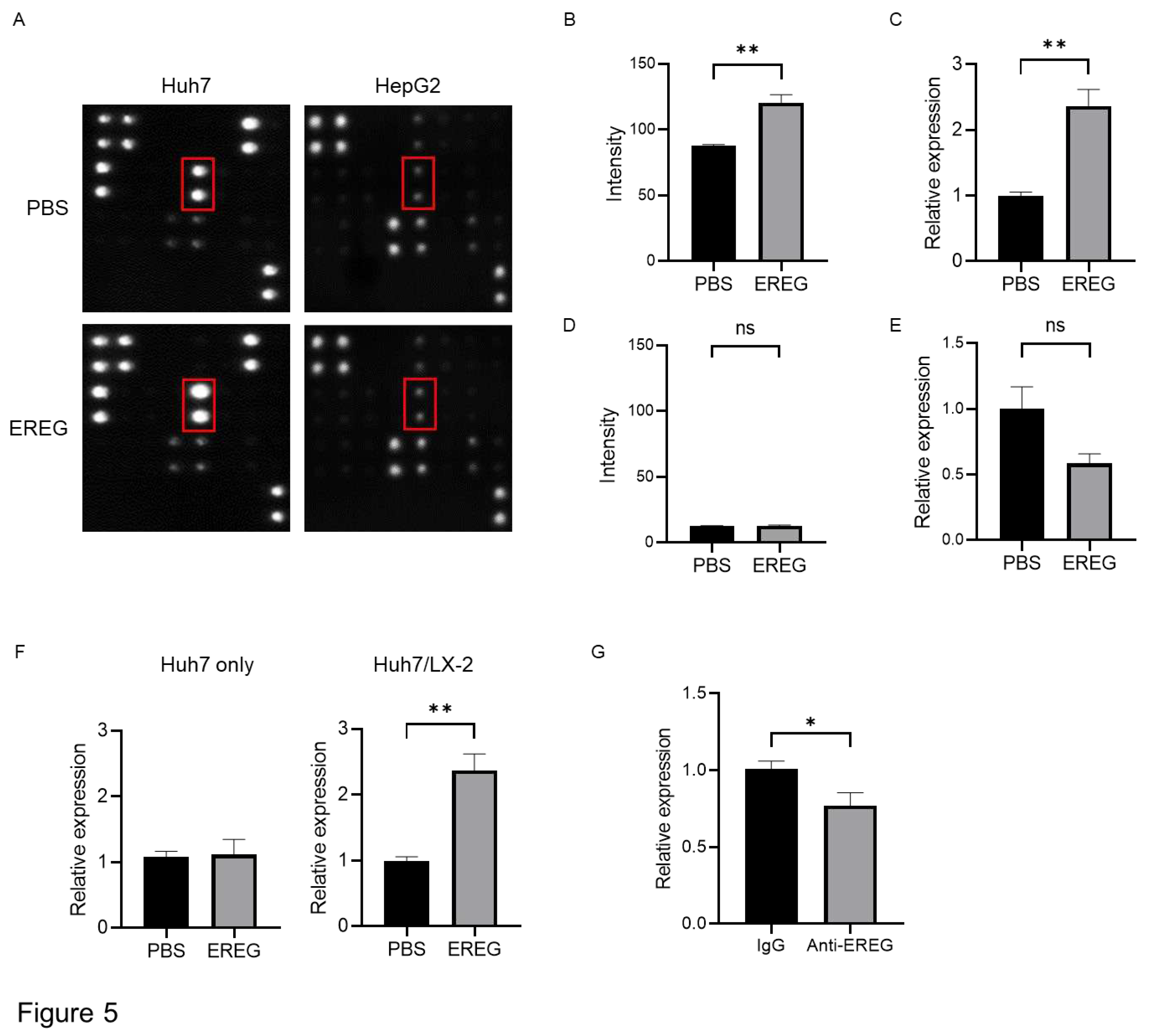 Preprints 95172 g005