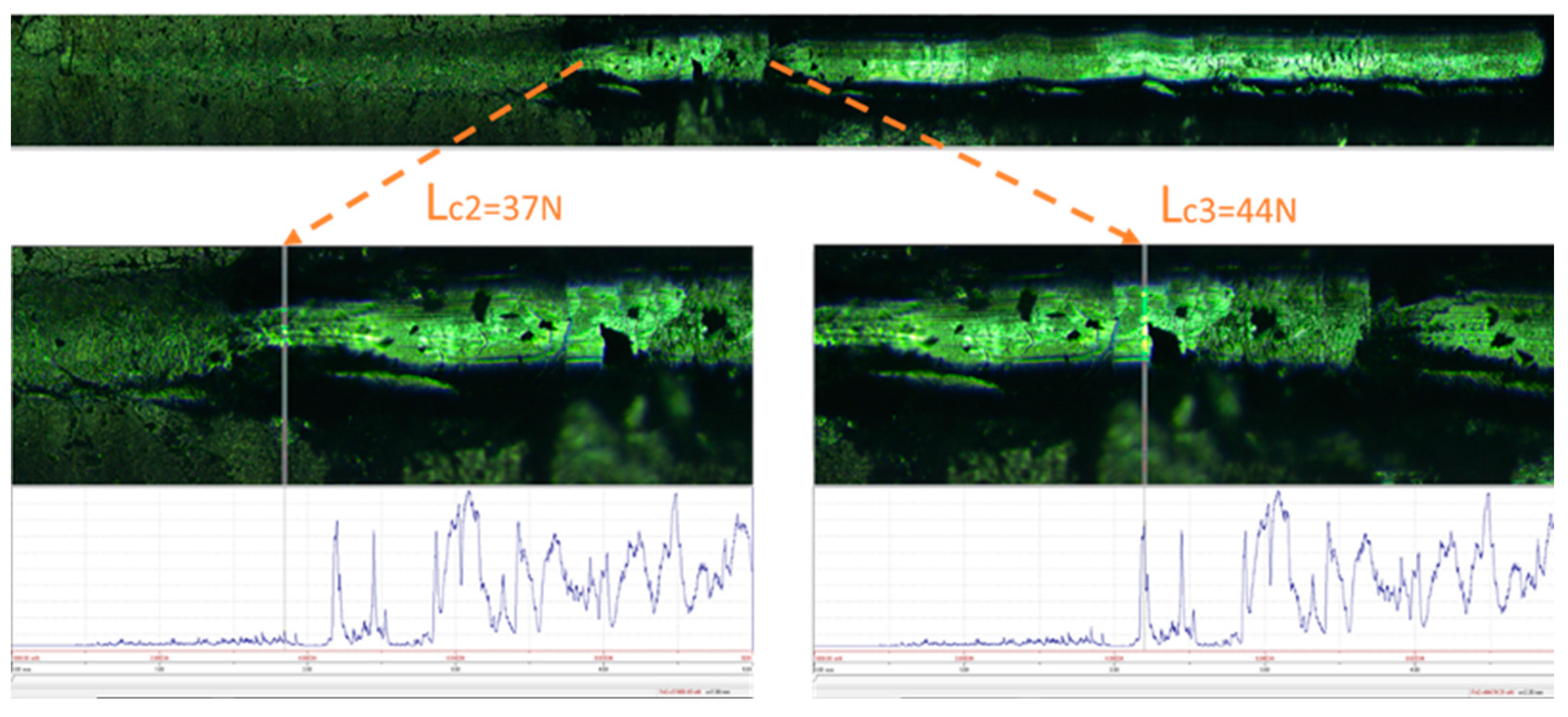 Preprints 113440 g004