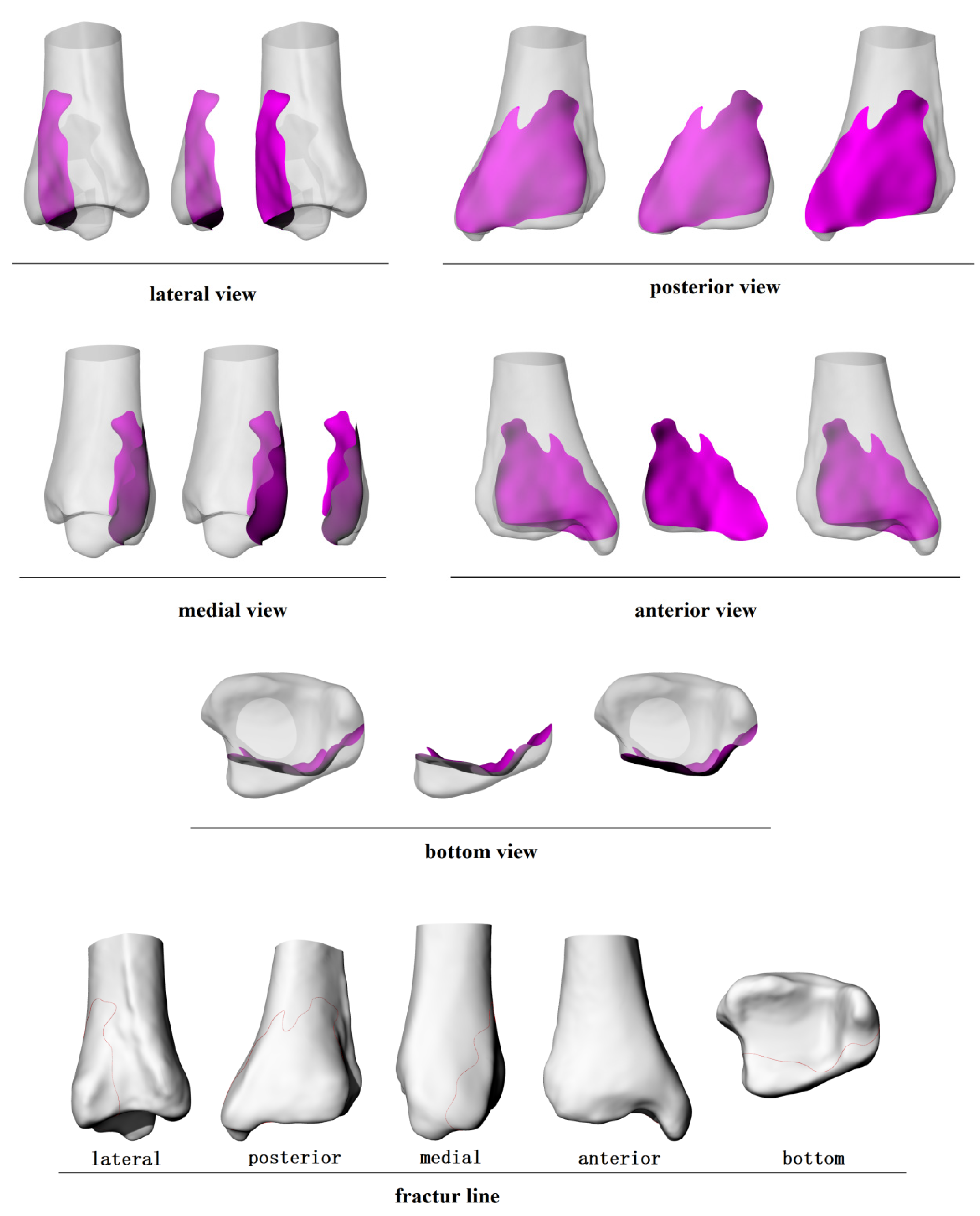 Preprints 119538 g003