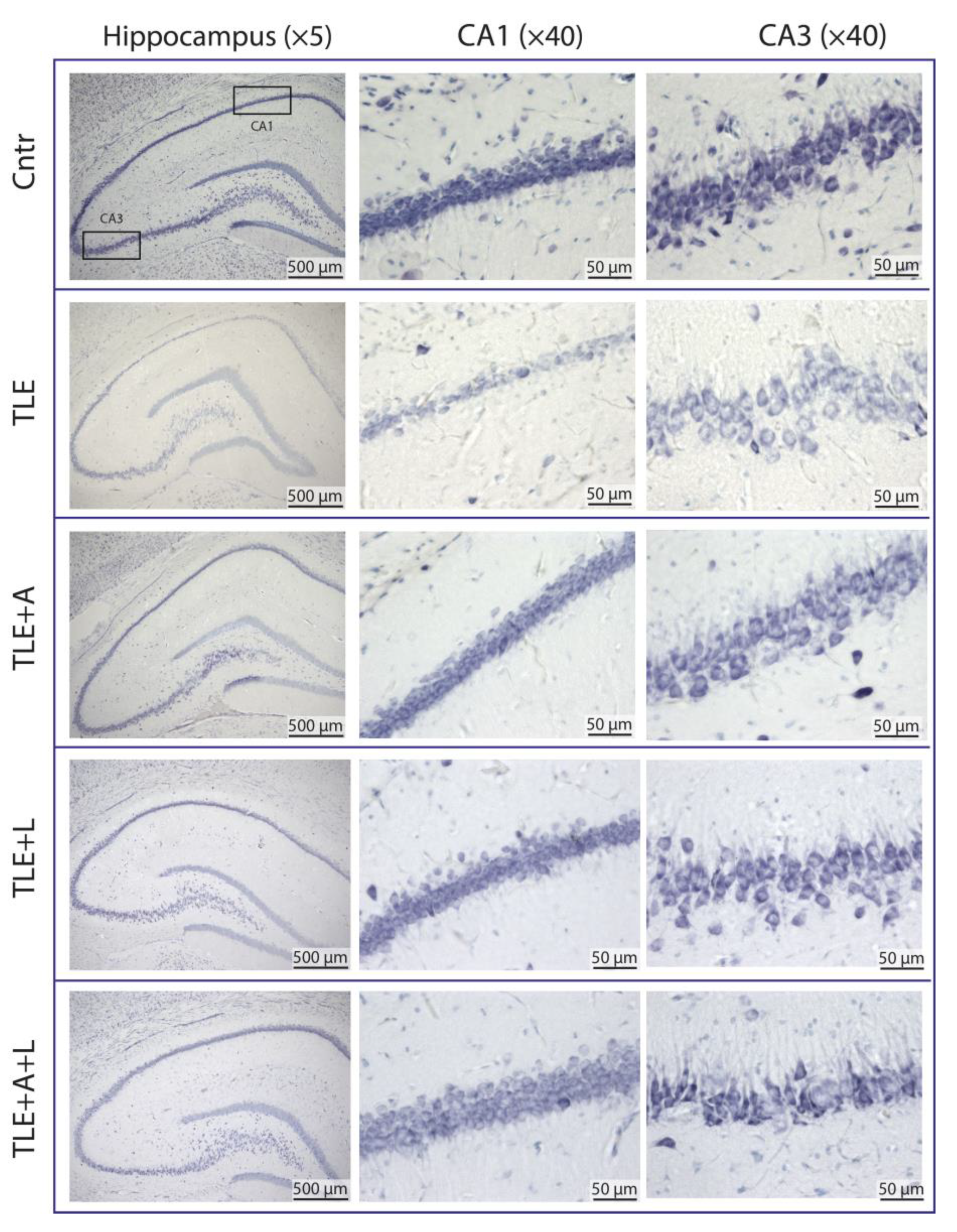 Preprints 86010 g002