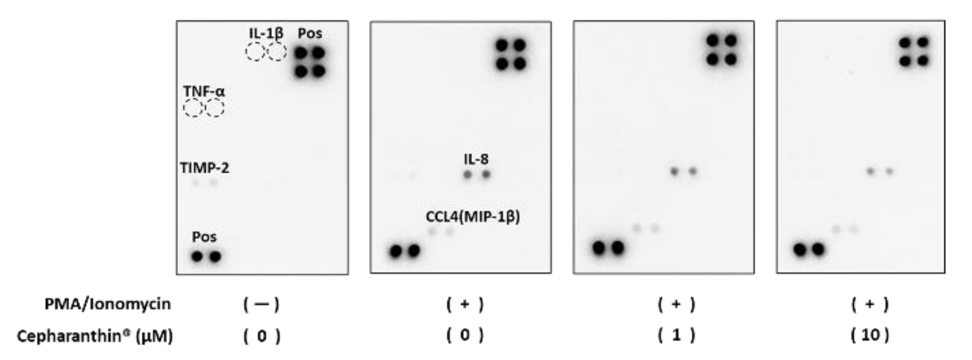 Preprints 115120 g007