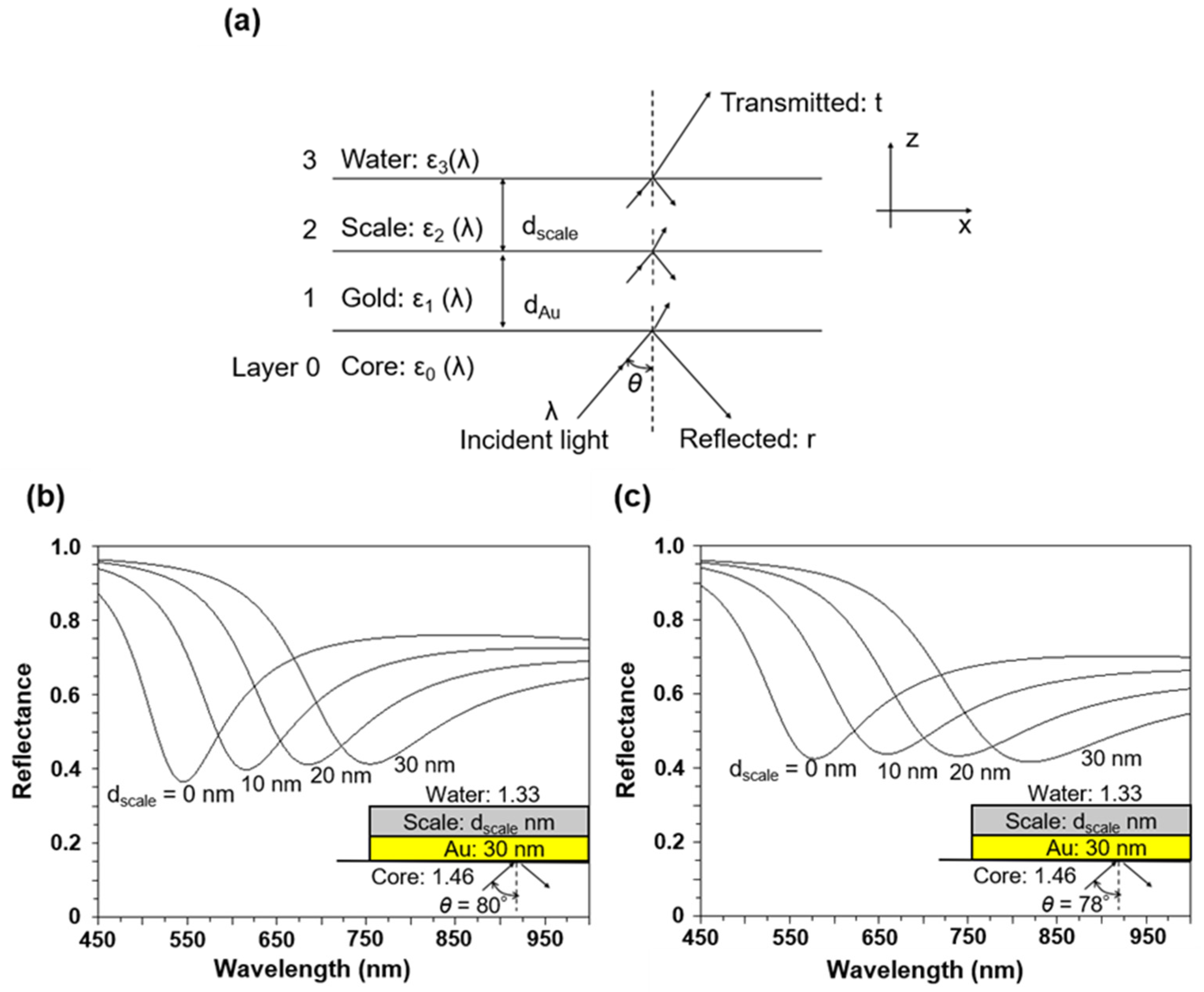 Preprints 115072 g008