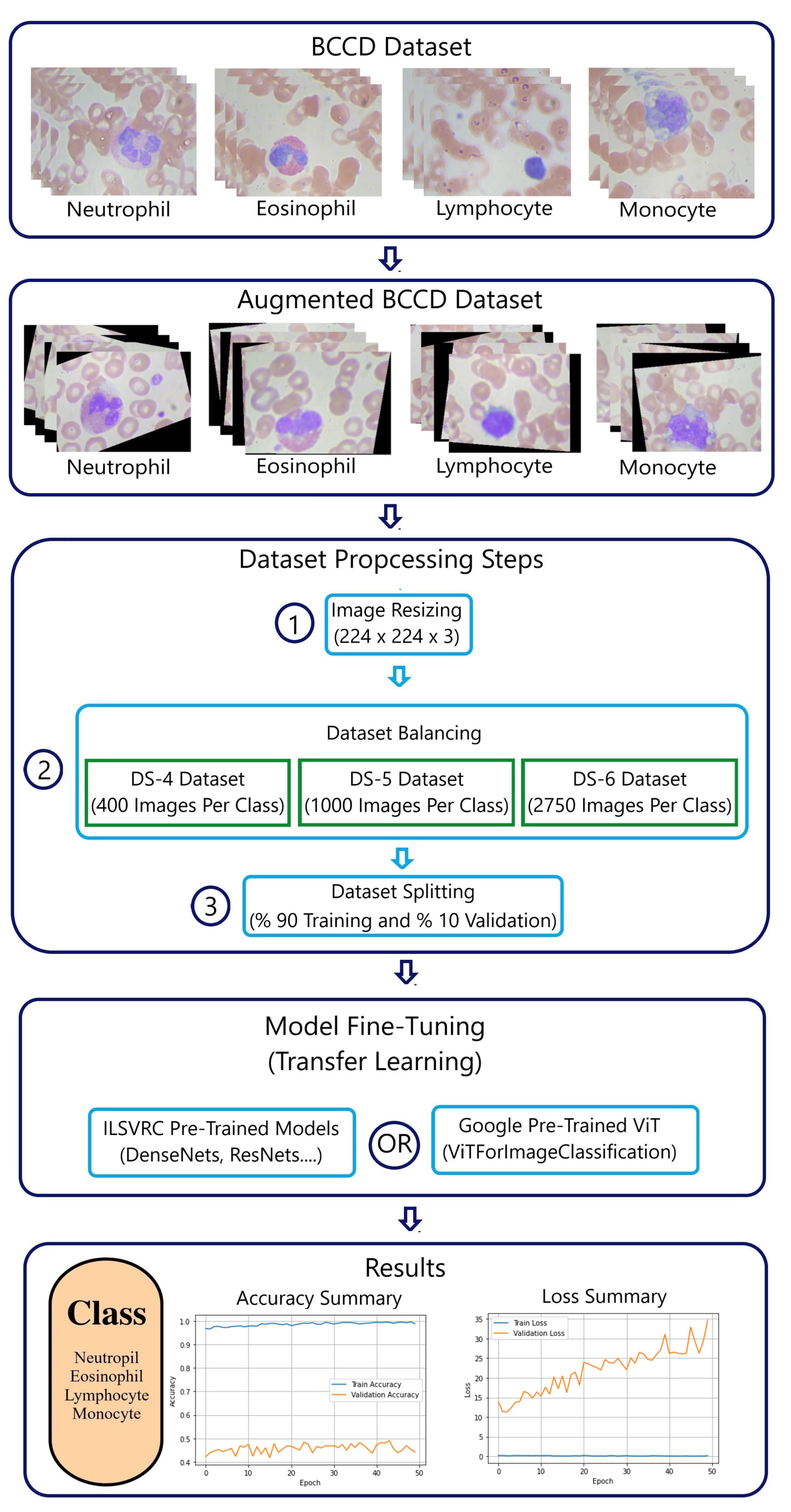 Preprints 88822 g002