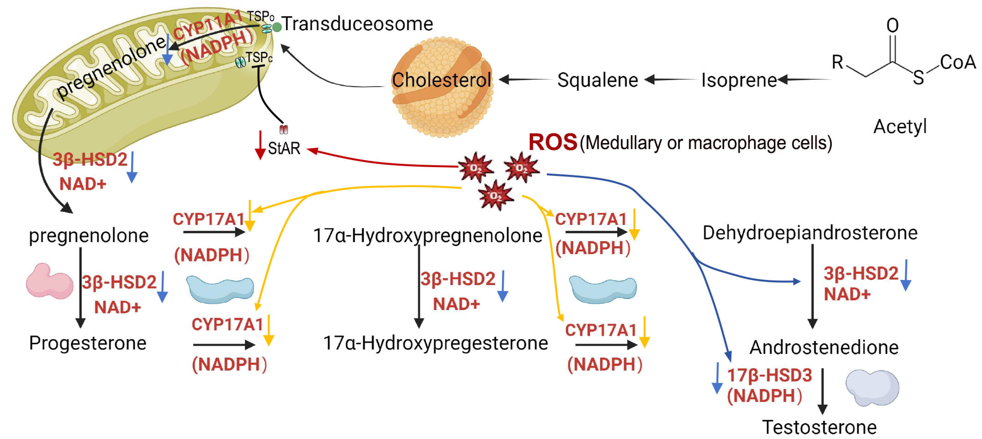 Preprints 122038 g002