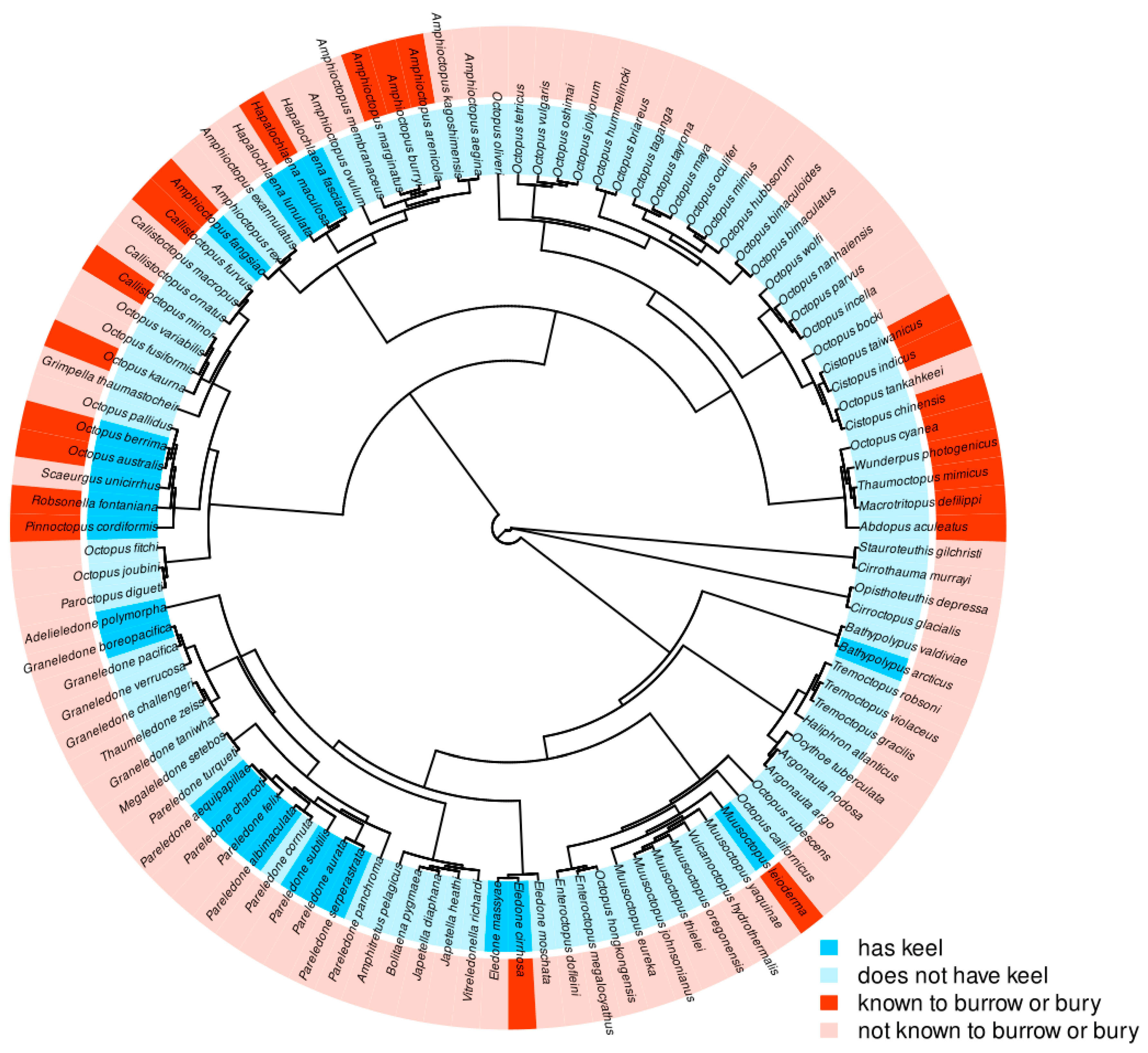 Preprints 78248 g003