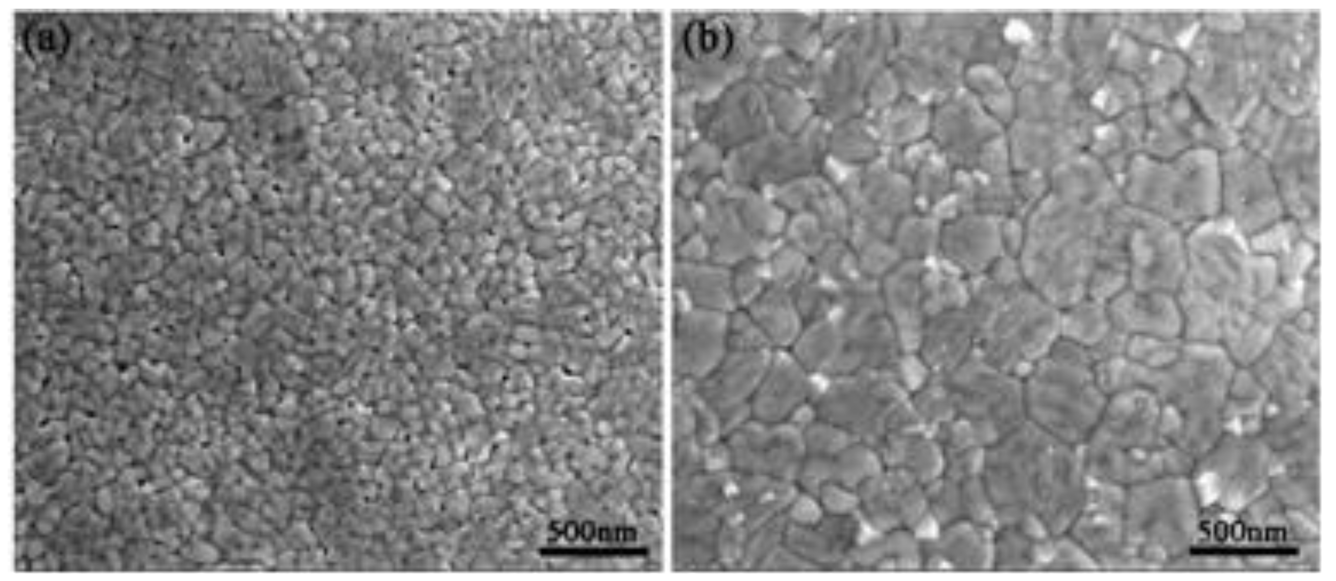 Preprints 114917 g002